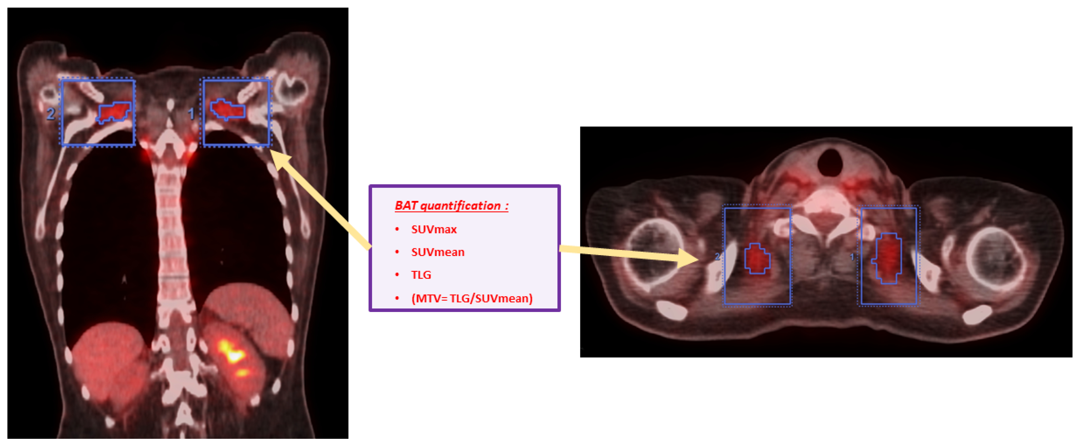 Biomedicines 12 00151 g002