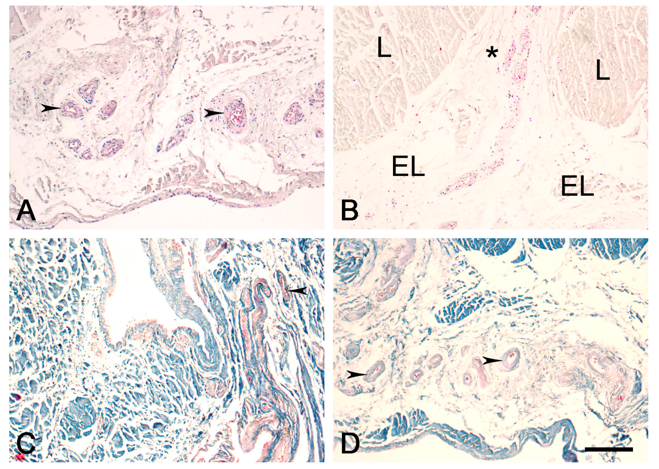 Biomedicines 12 00156 g002