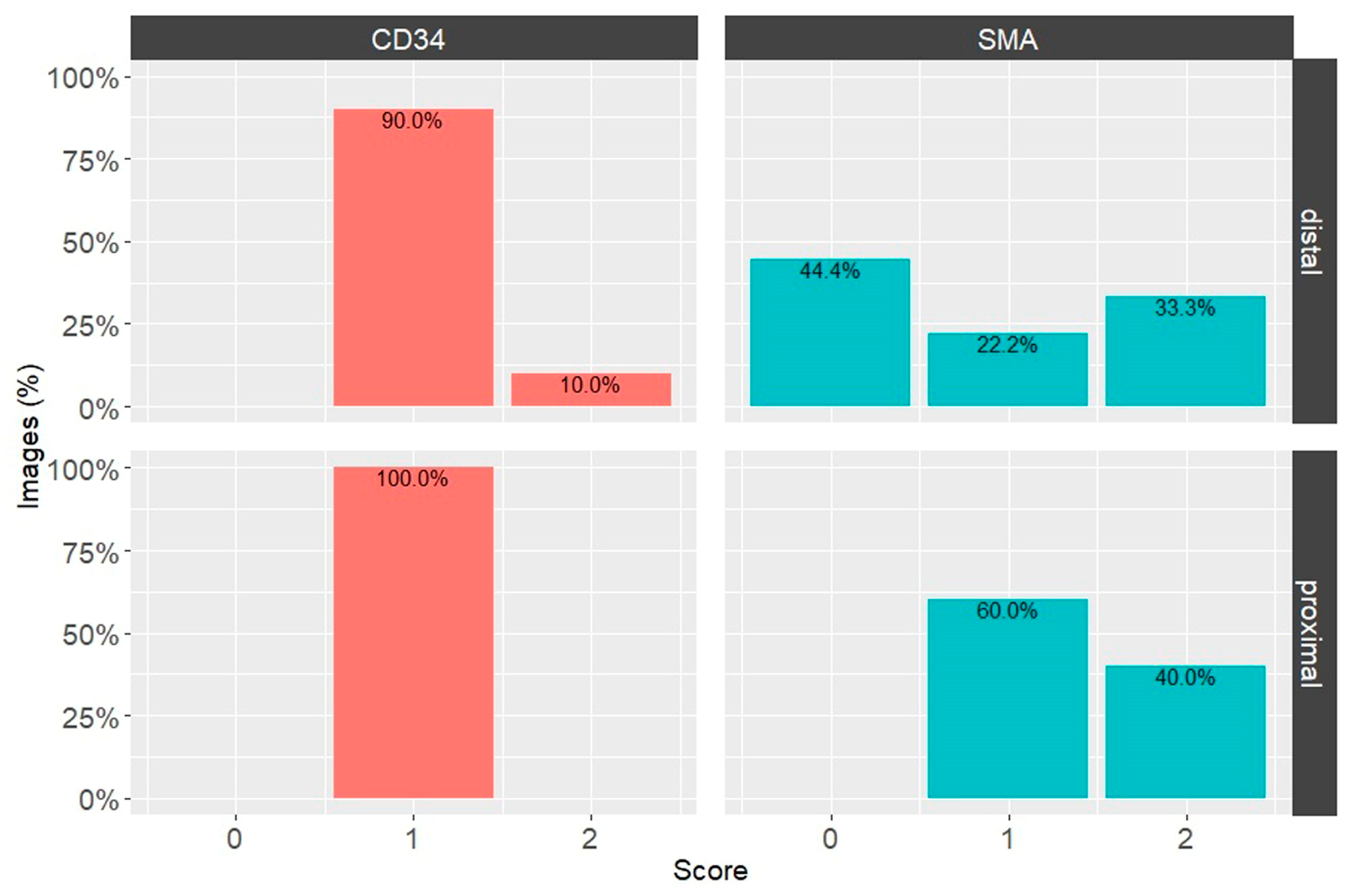 Biomedicines 12 00156 g005