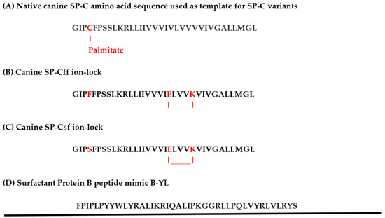 Amino acid sequences of the parental Z wt with randomized positions