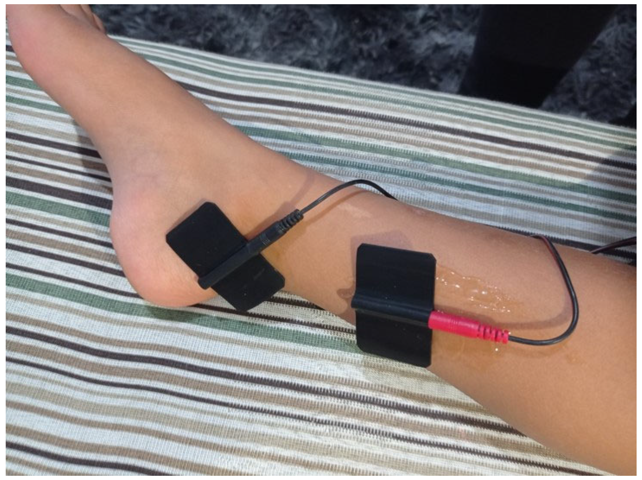 Biomedicines 12 00164 g002