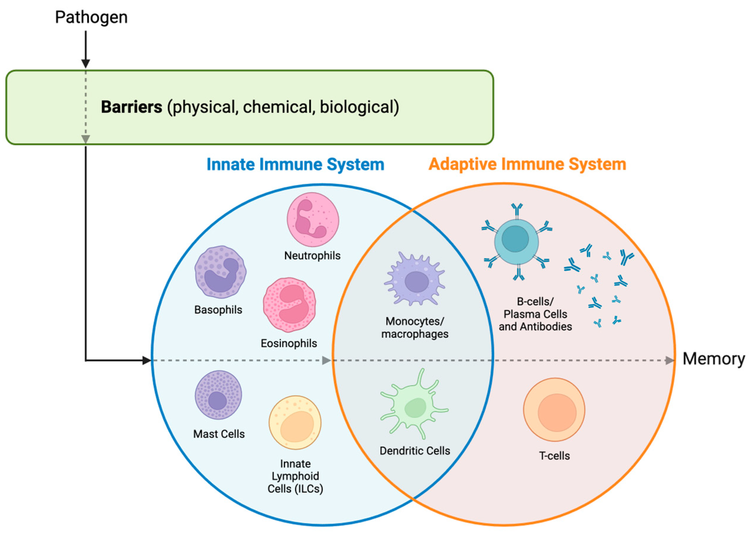 Biomedicines Free Full Text Immunosuppression in Sepsis