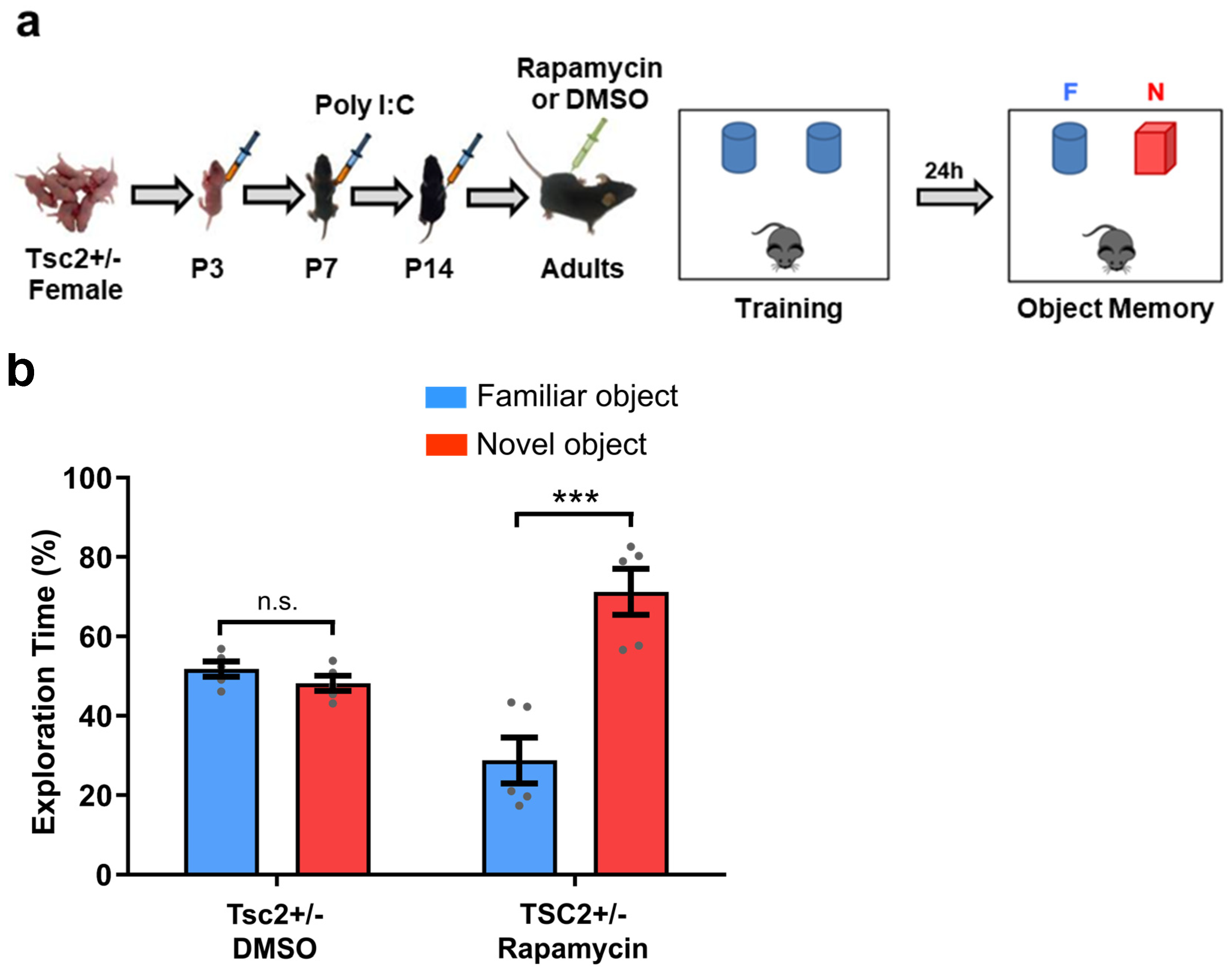 Biomedicines 12 00203 g002