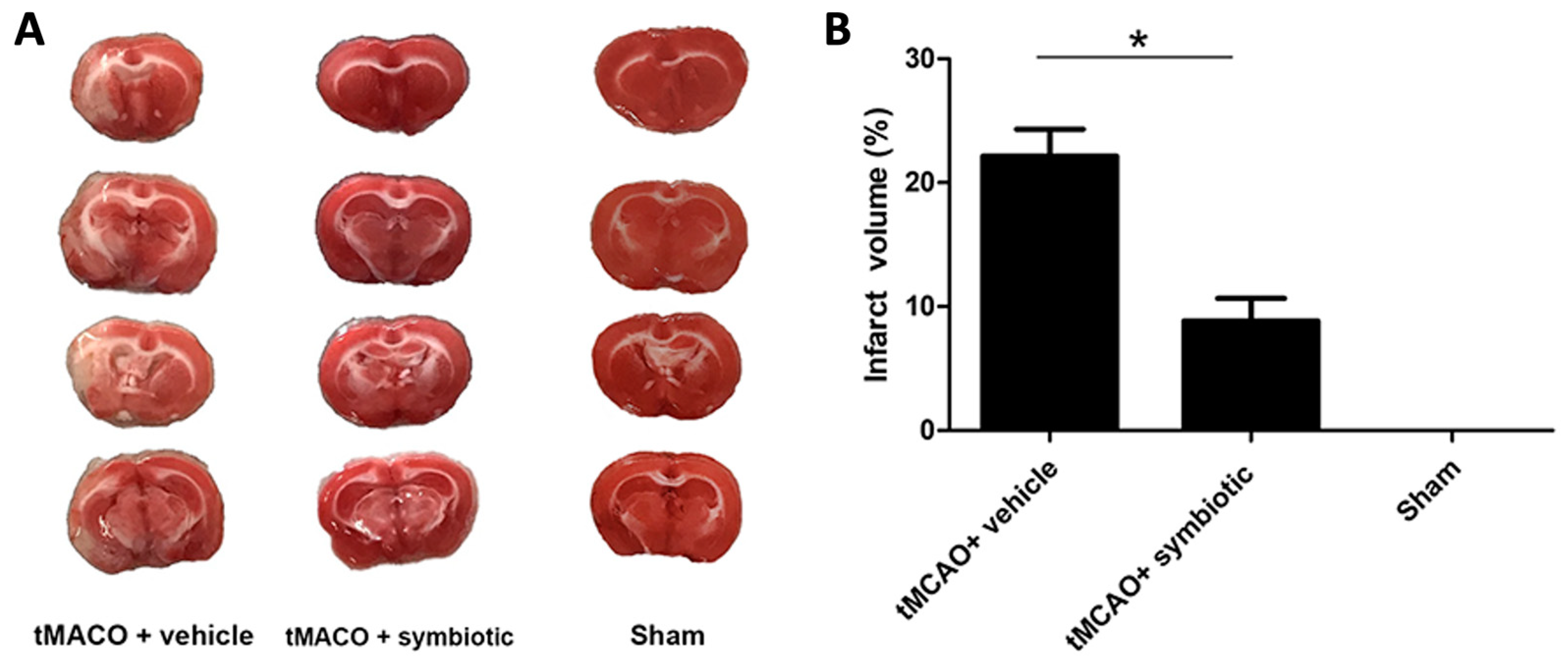 Biomedicines 12 00209 g003