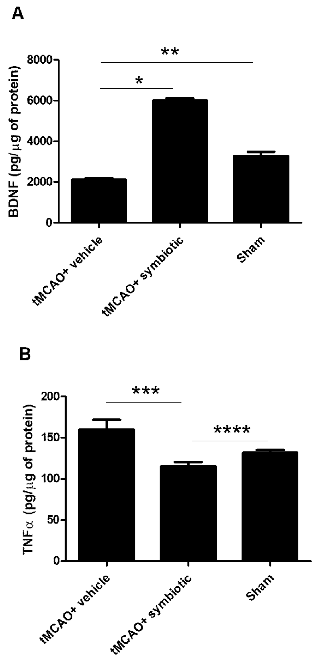 Biomedicines 12 00209 g006