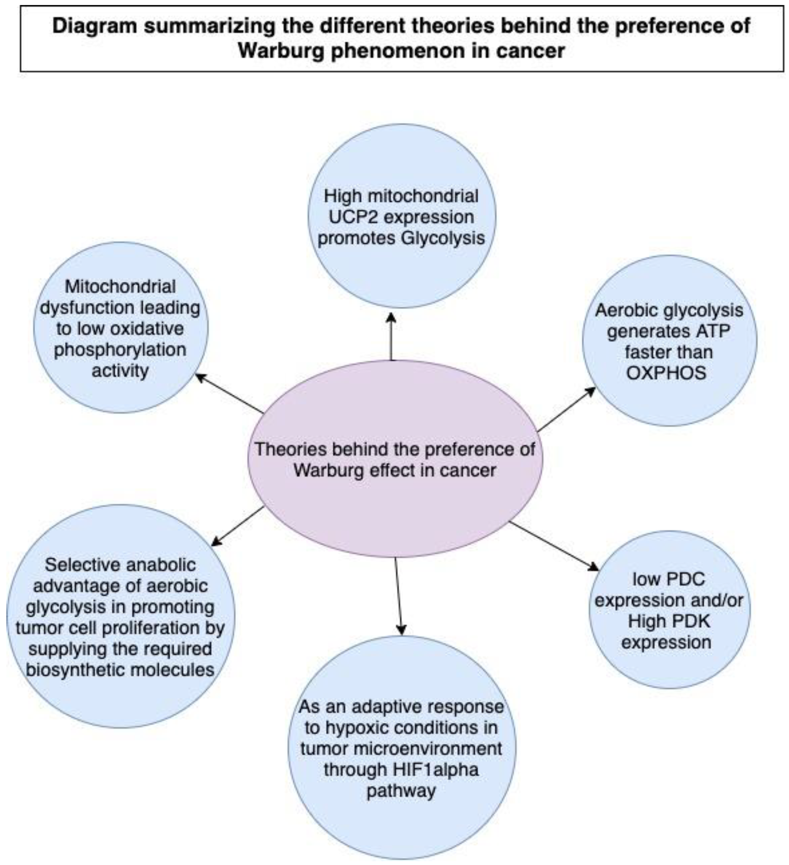 Biomedicines | Free Full-Text | Targeting the Metabolic Paradigms 