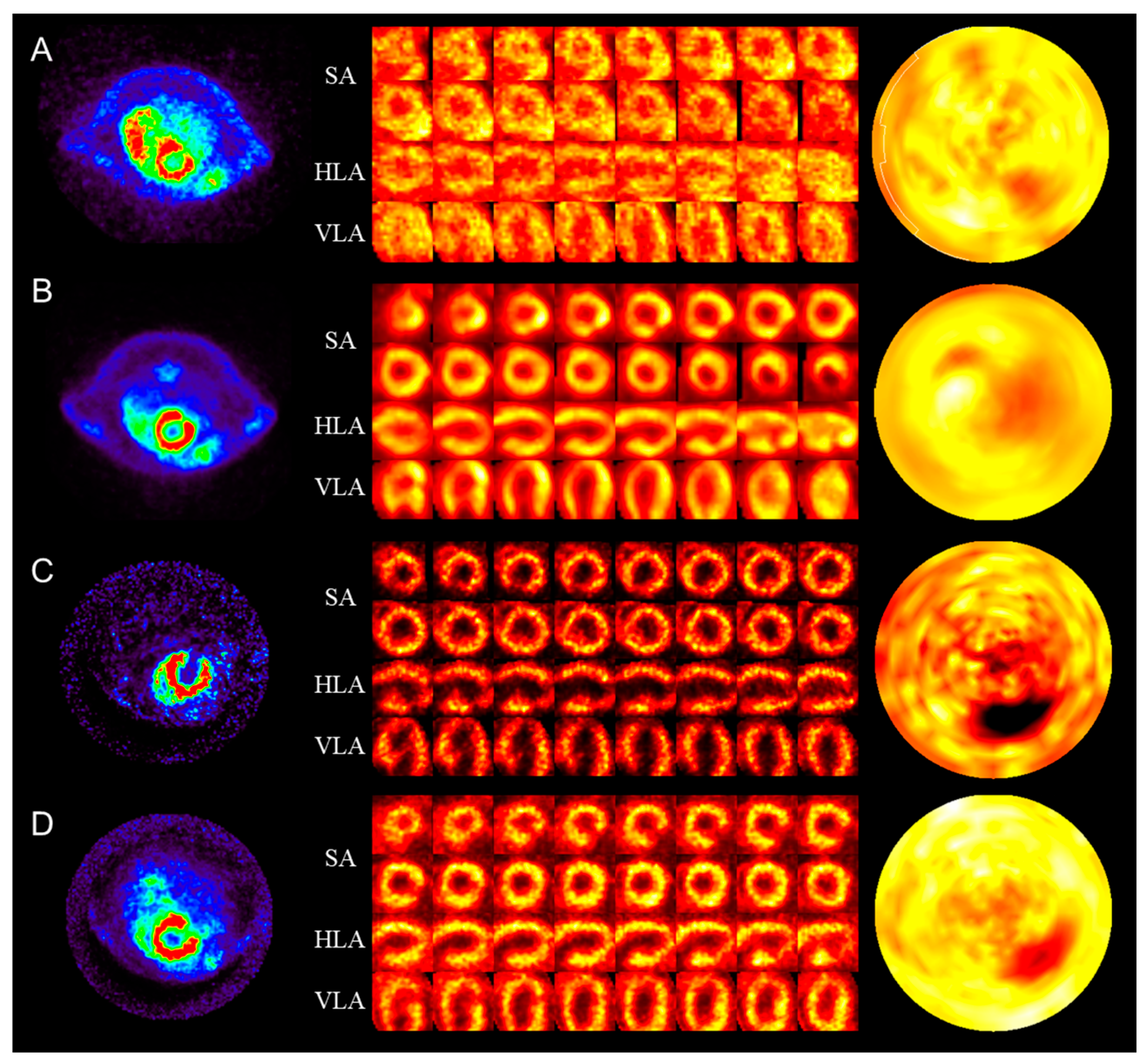 Biomedicines 12 00219 g001