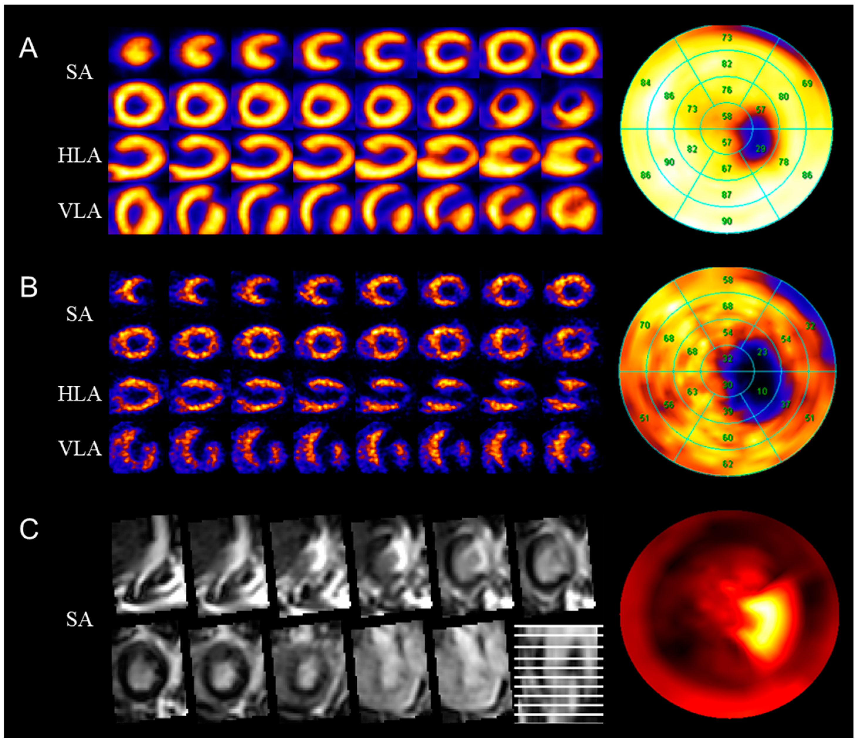 Biomedicines 12 00219 g003