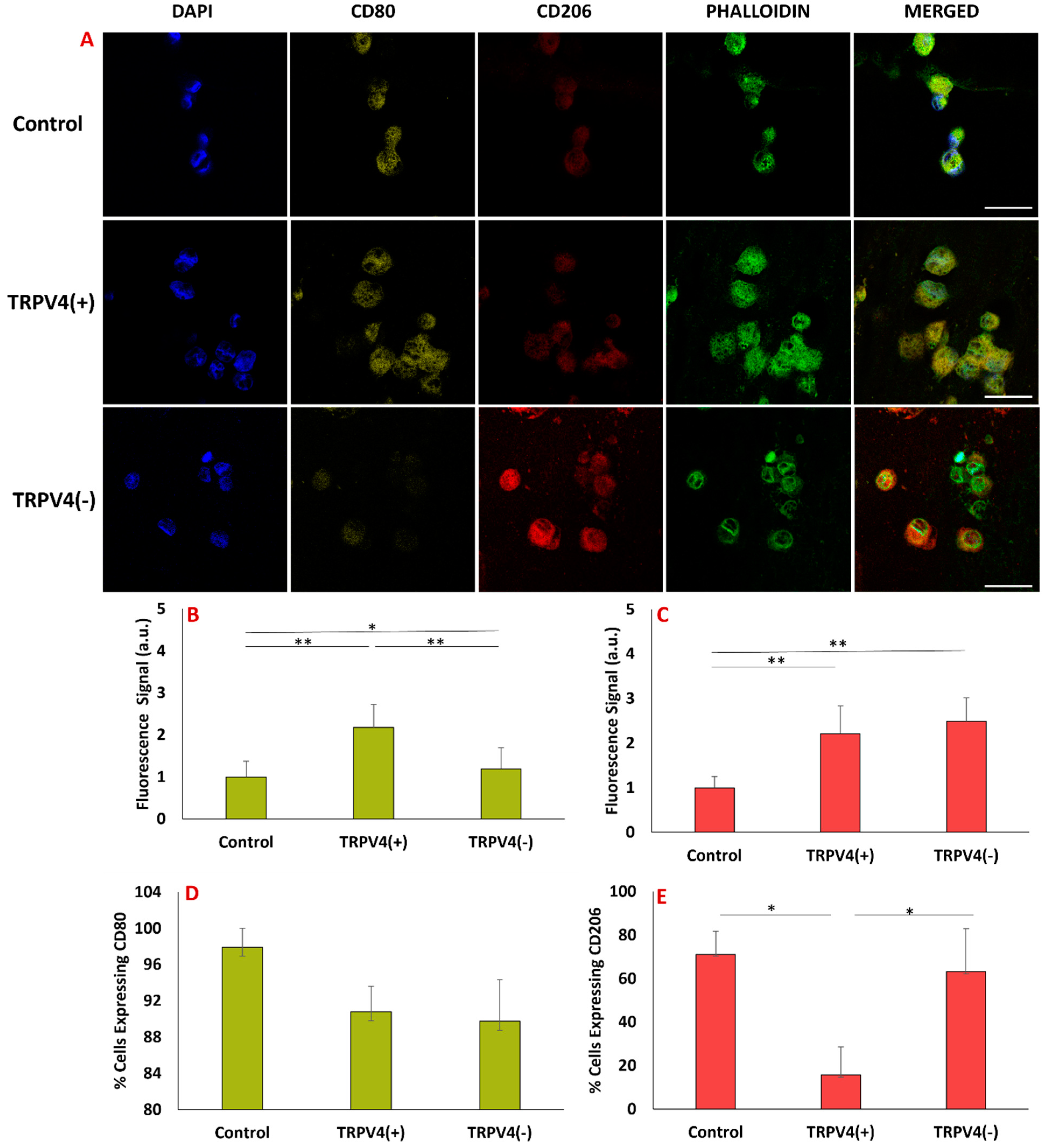 Biomedicines 12 00230 g006