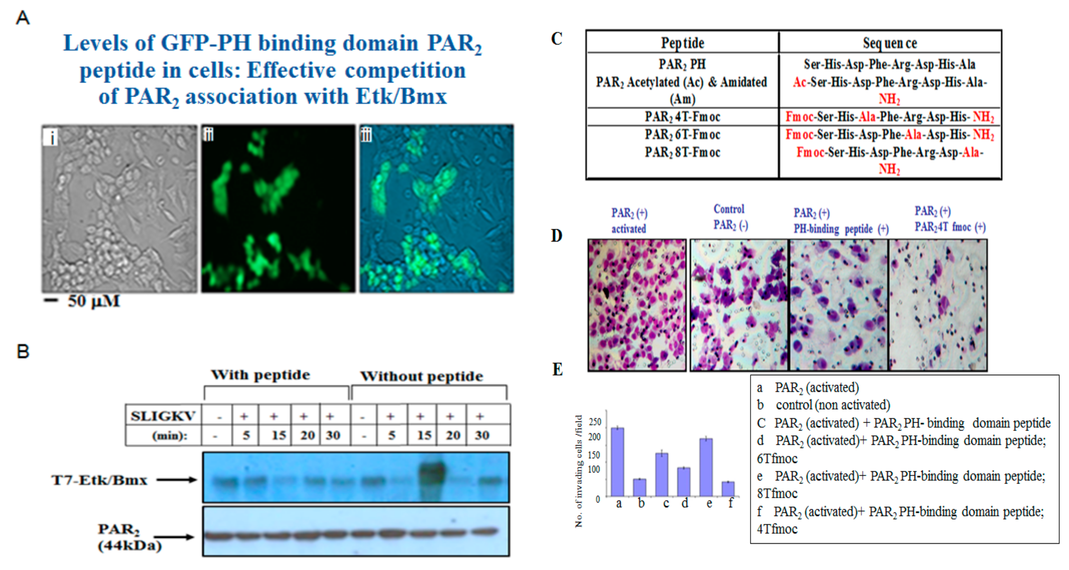 Biomedicines 12 00246 g005