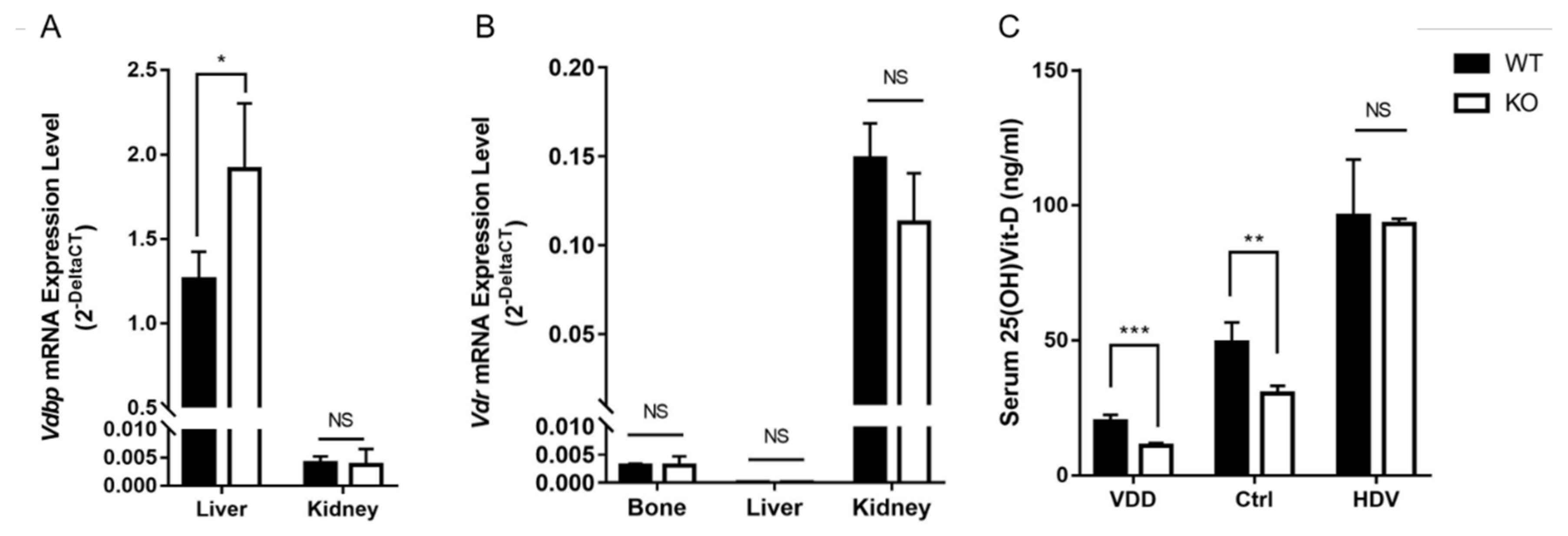 Biomedicines 12 00250 g003