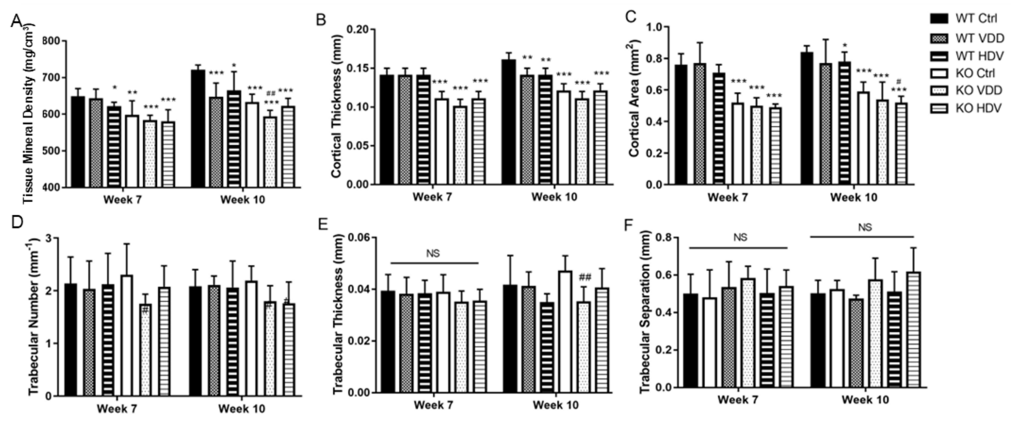 Biomedicines 12 00250 g004