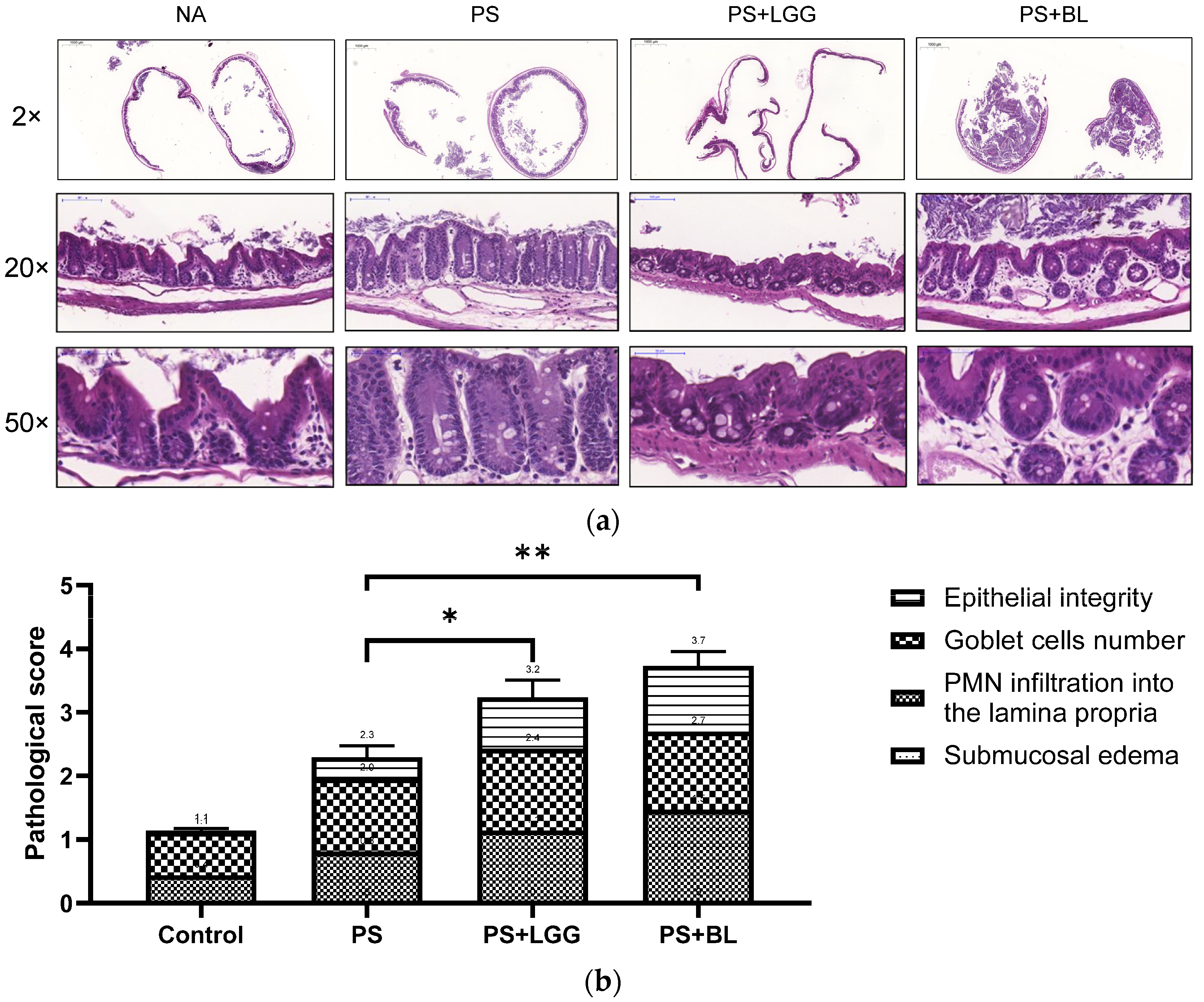 Biomedicines 12 00253 g002 Biomedicines 12 00253 g002