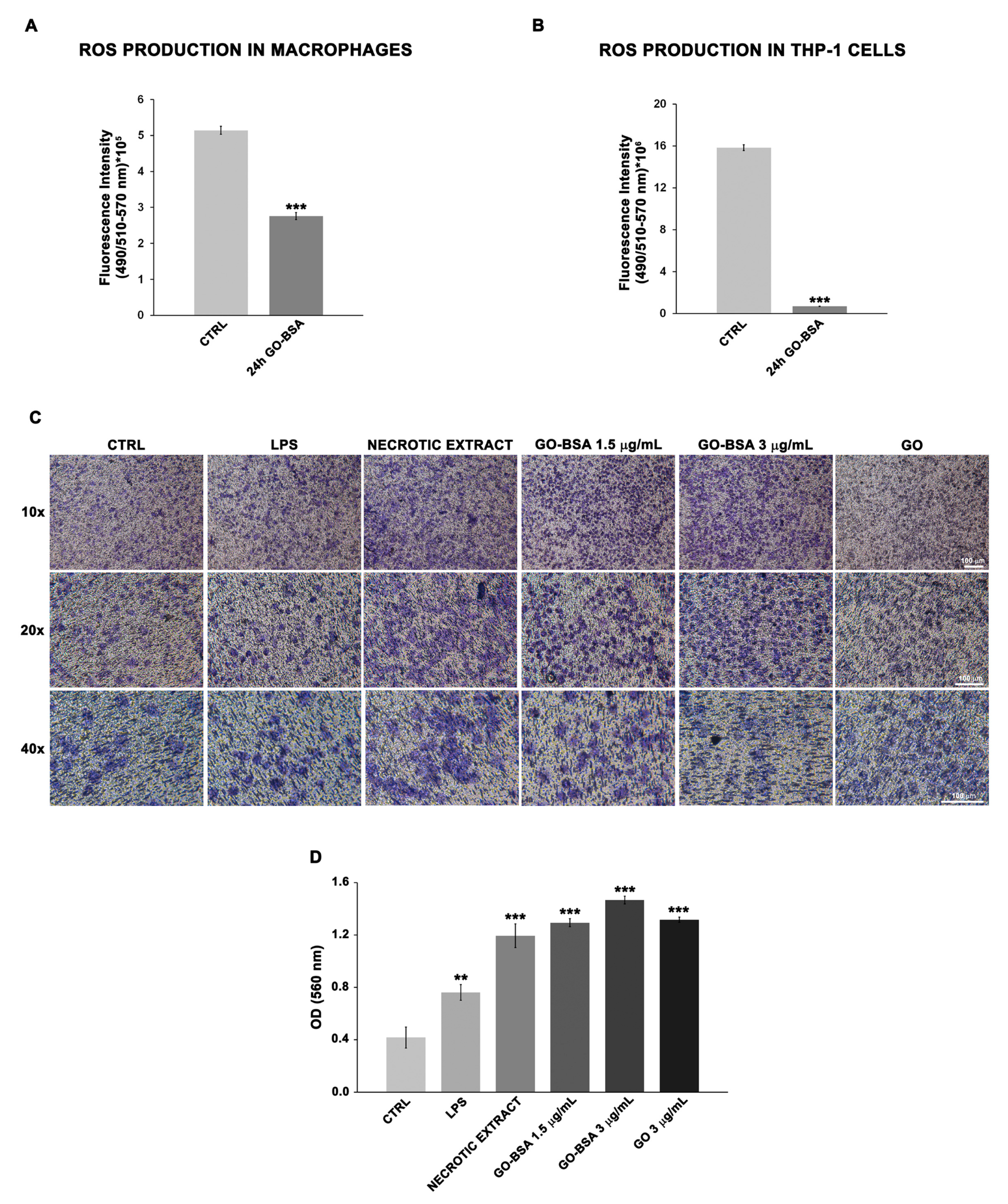 Biomedicines 12 00256 g005