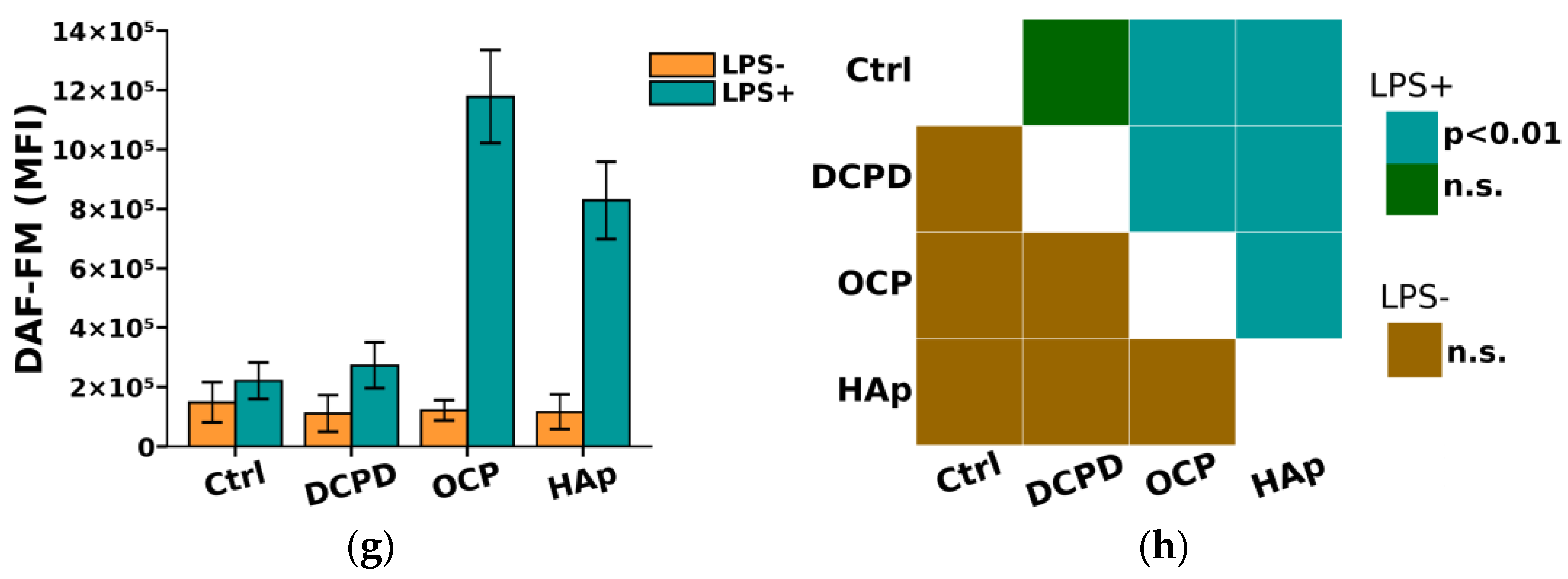 Biomedicines 12 00263 g008b