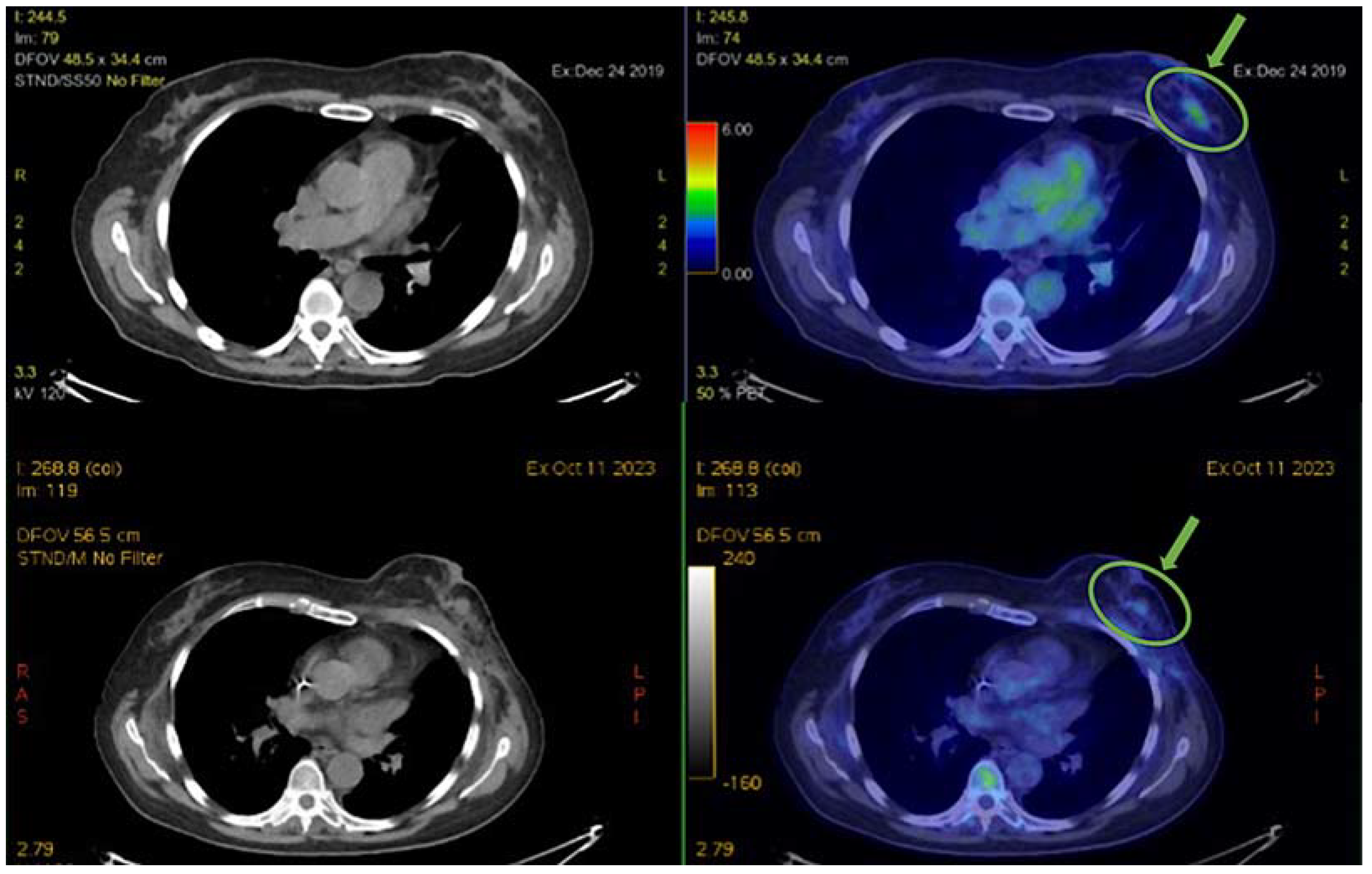 Biomedicines 12 00272 g002