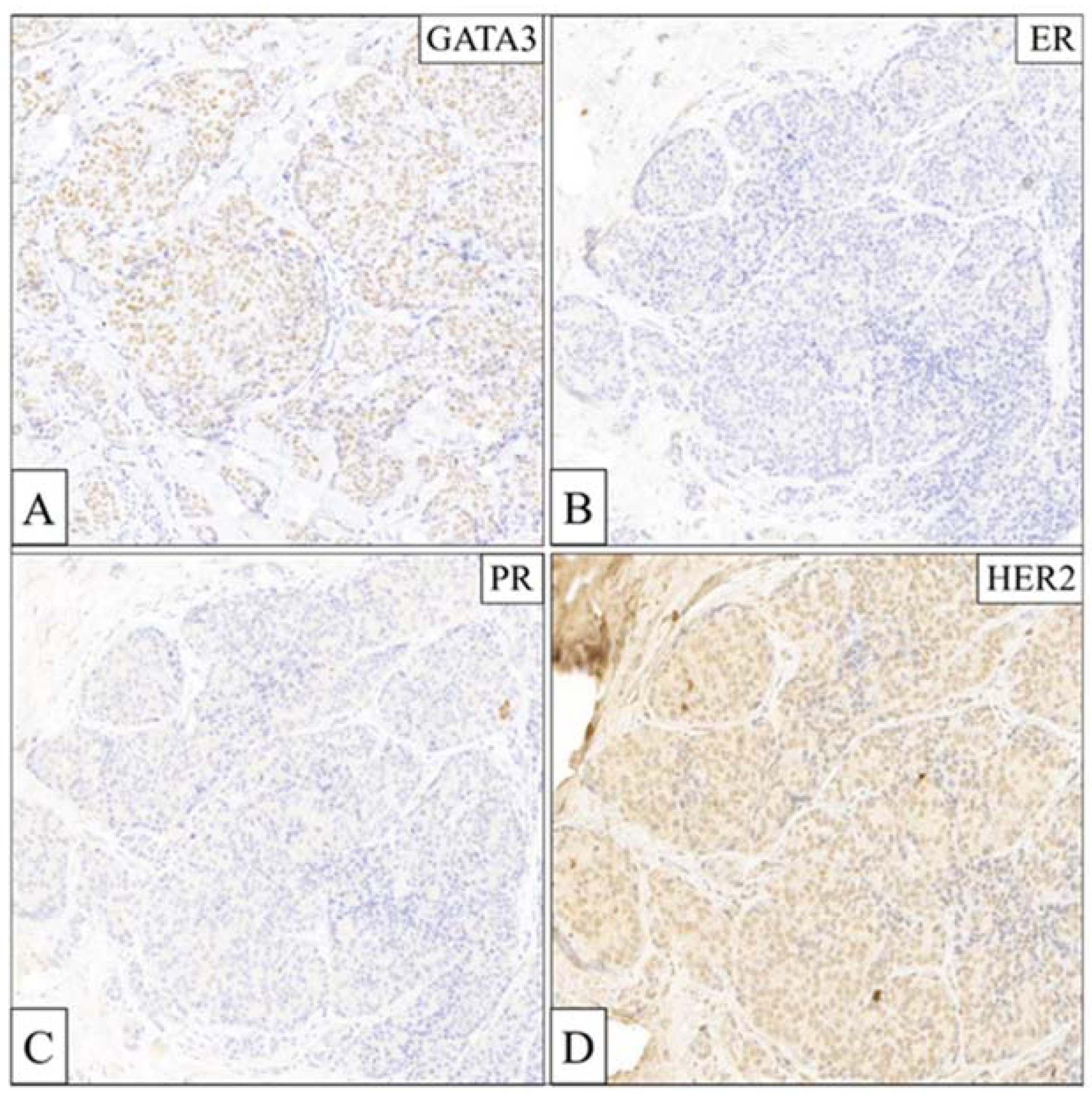 Biomedicines 12 00272 g003