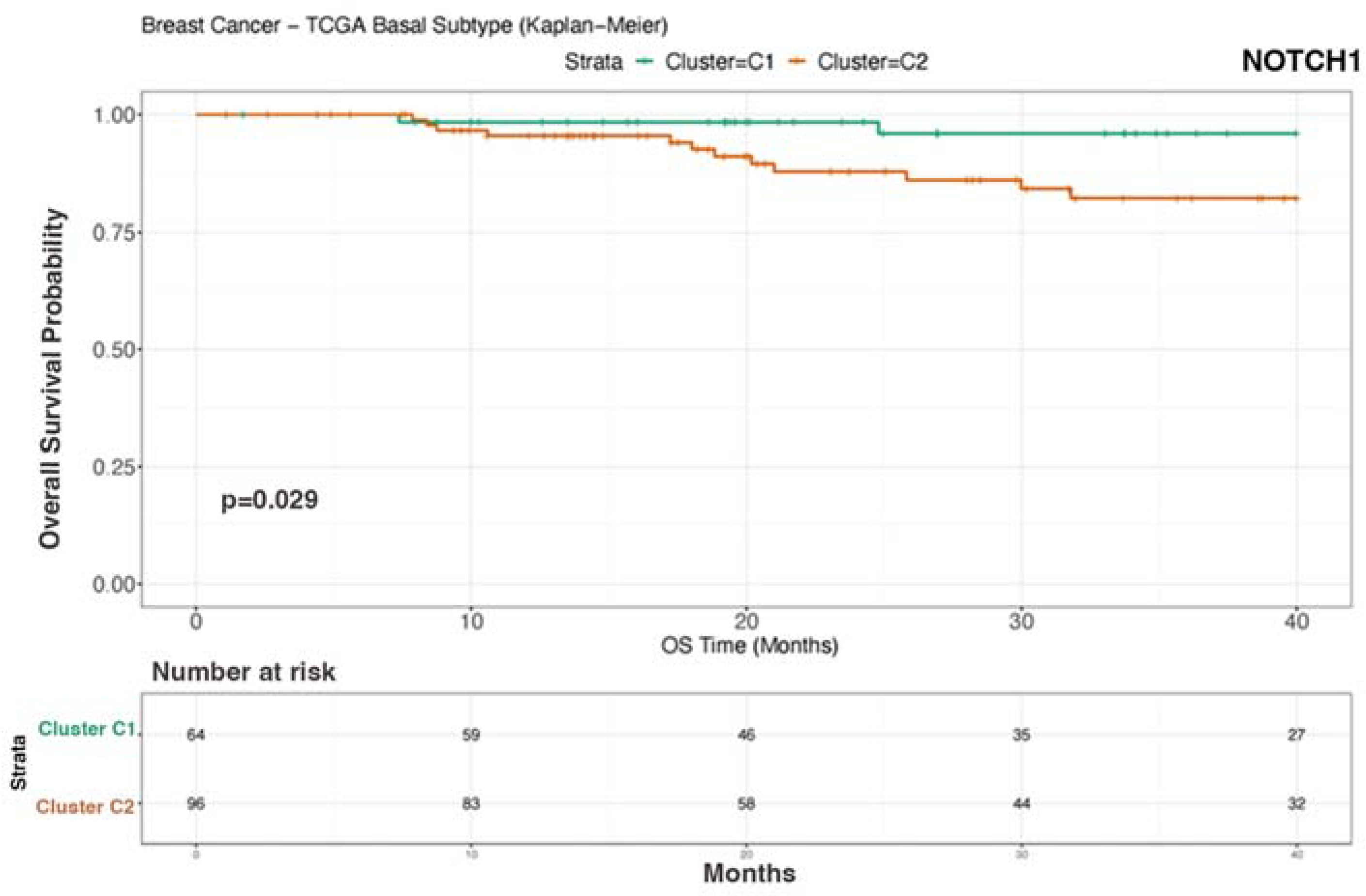 Biomedicines 12 00272 g005