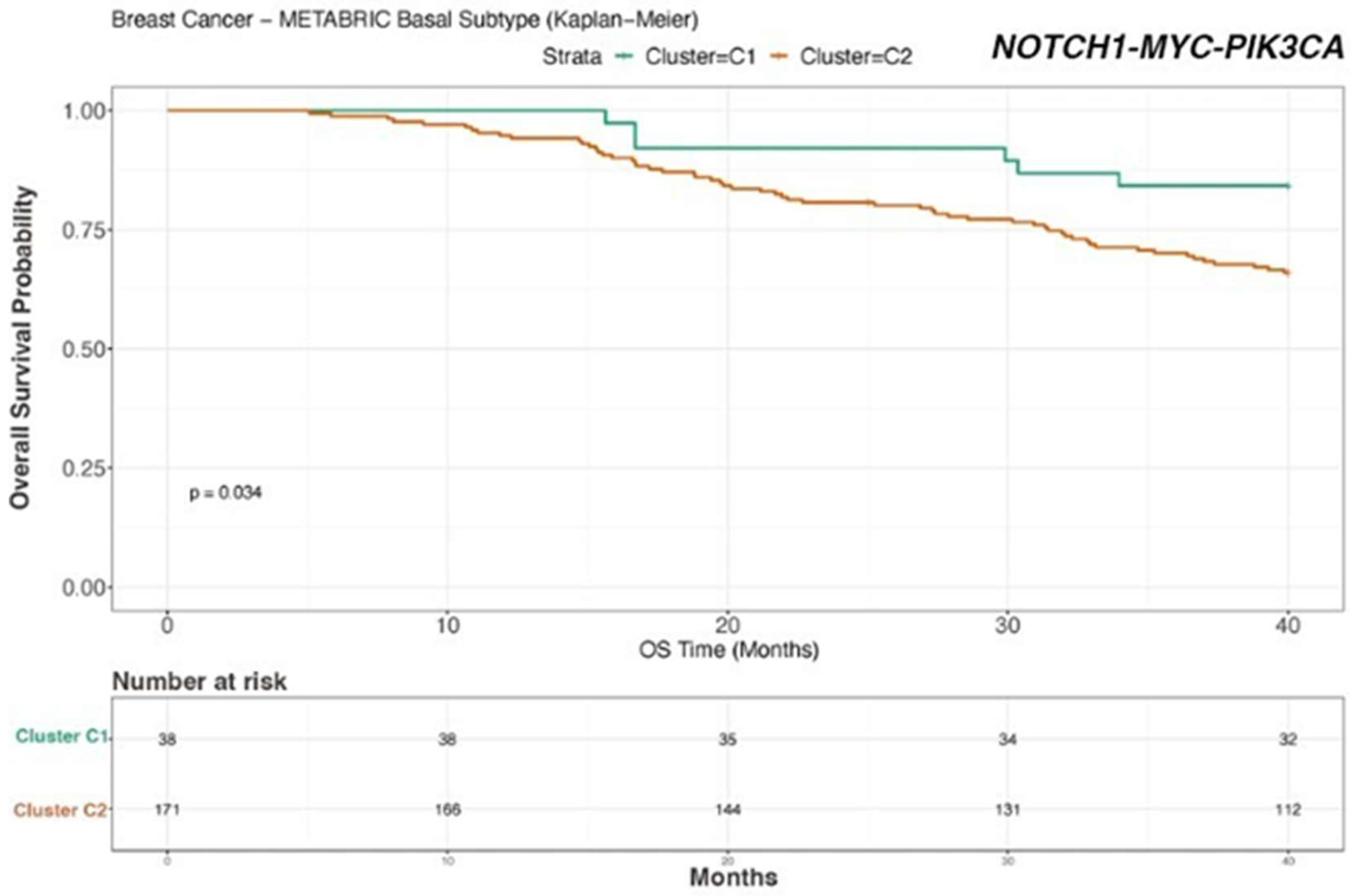 Biomedicines 12 00272 g006
