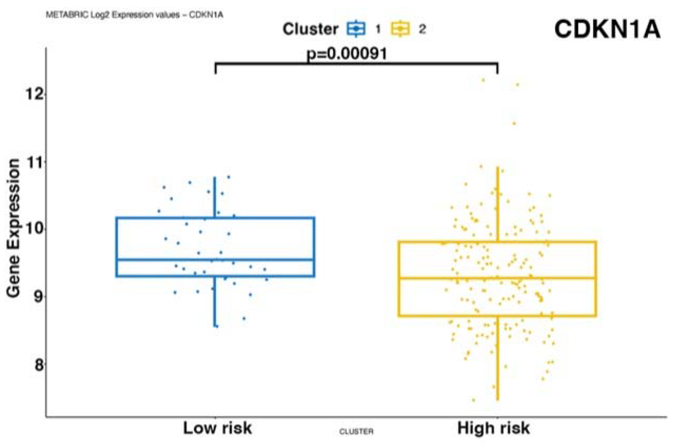 Biomedicines 12 00272 g008