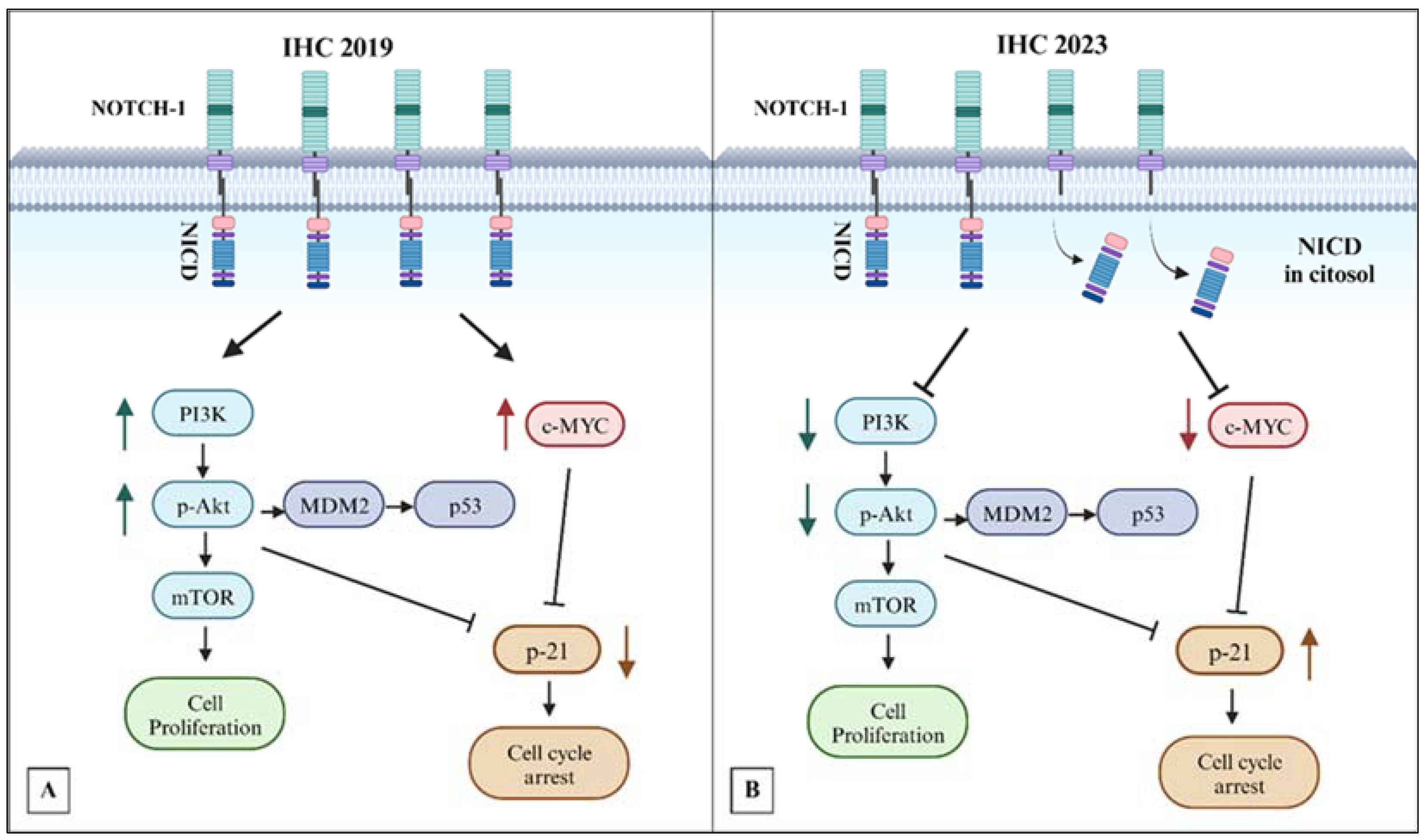 Biomedicines 12 00272 g009