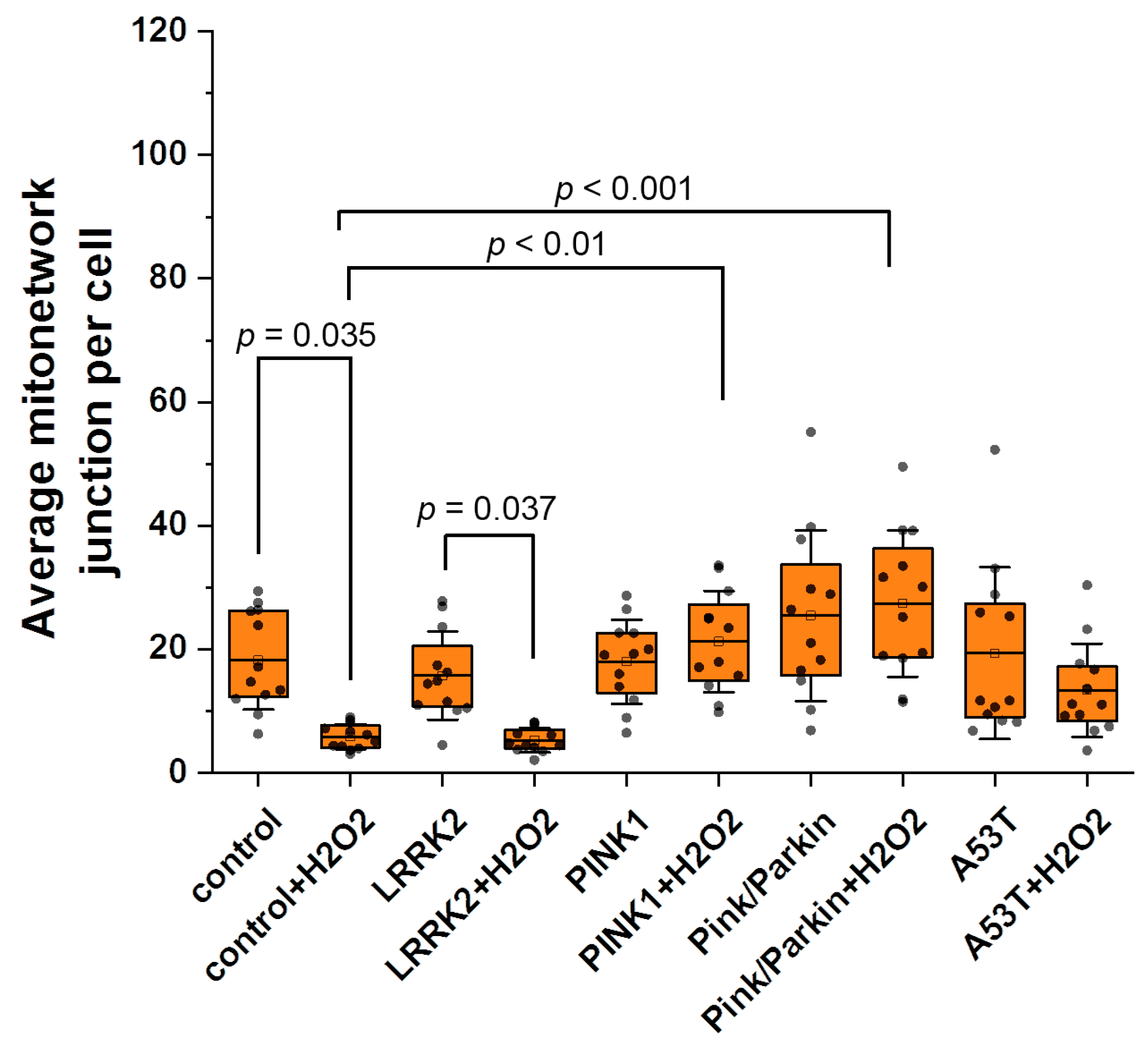 Biomedicines 12 00282 g005