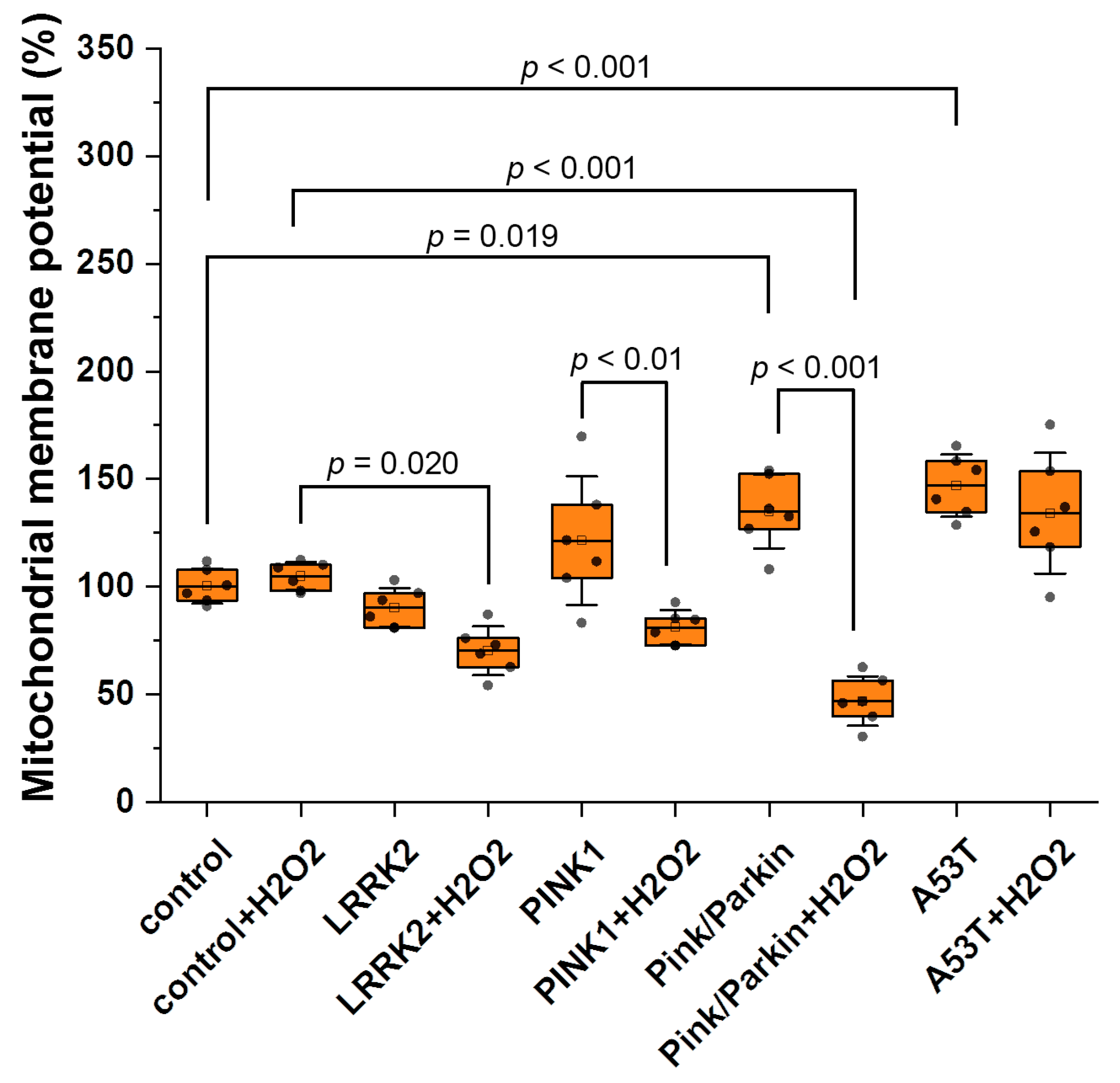 Biomedicines 12 00282 g006