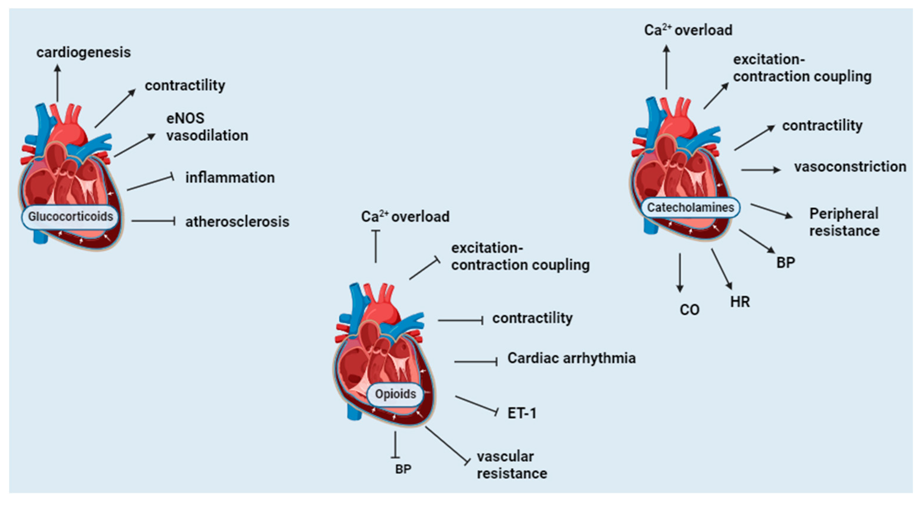 Biomedicines 12 00314 g004 Biomedicines 12 00314 g004