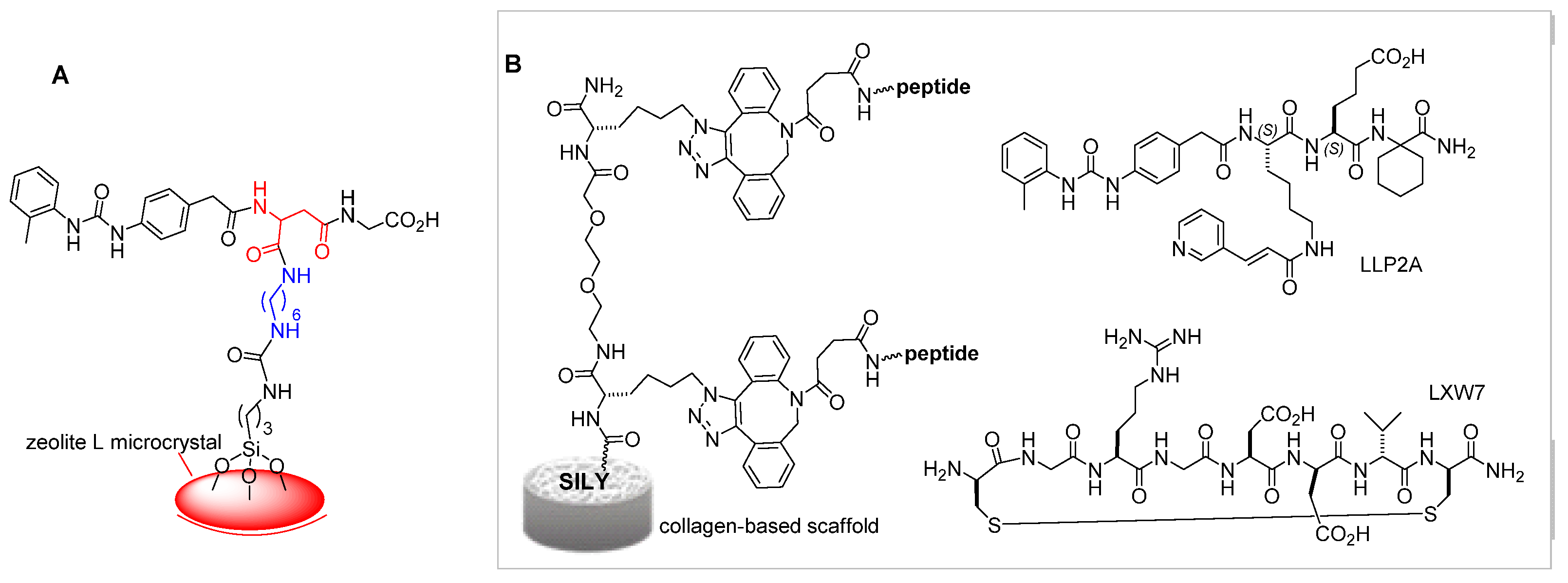 Biomedicines 12 00316 g004