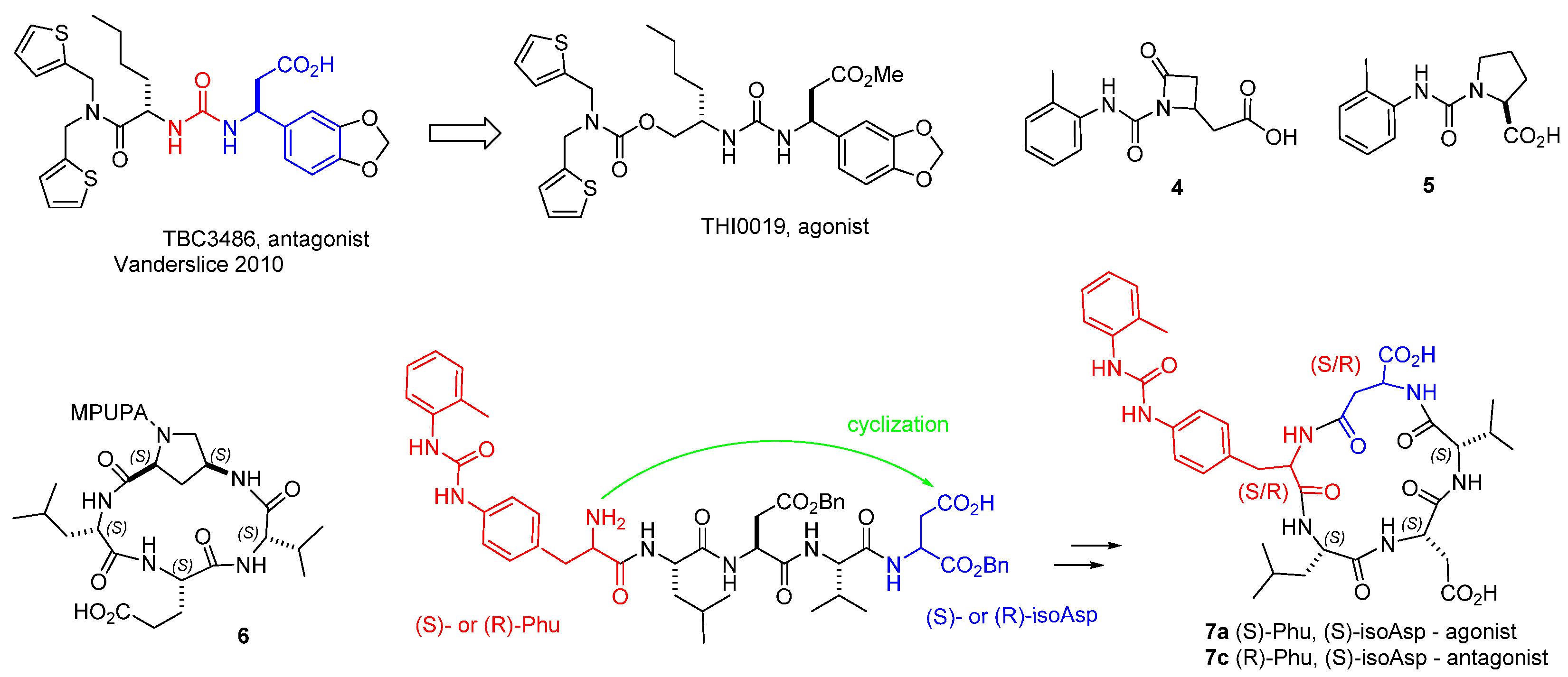 Biomedicines 12 00316 g005