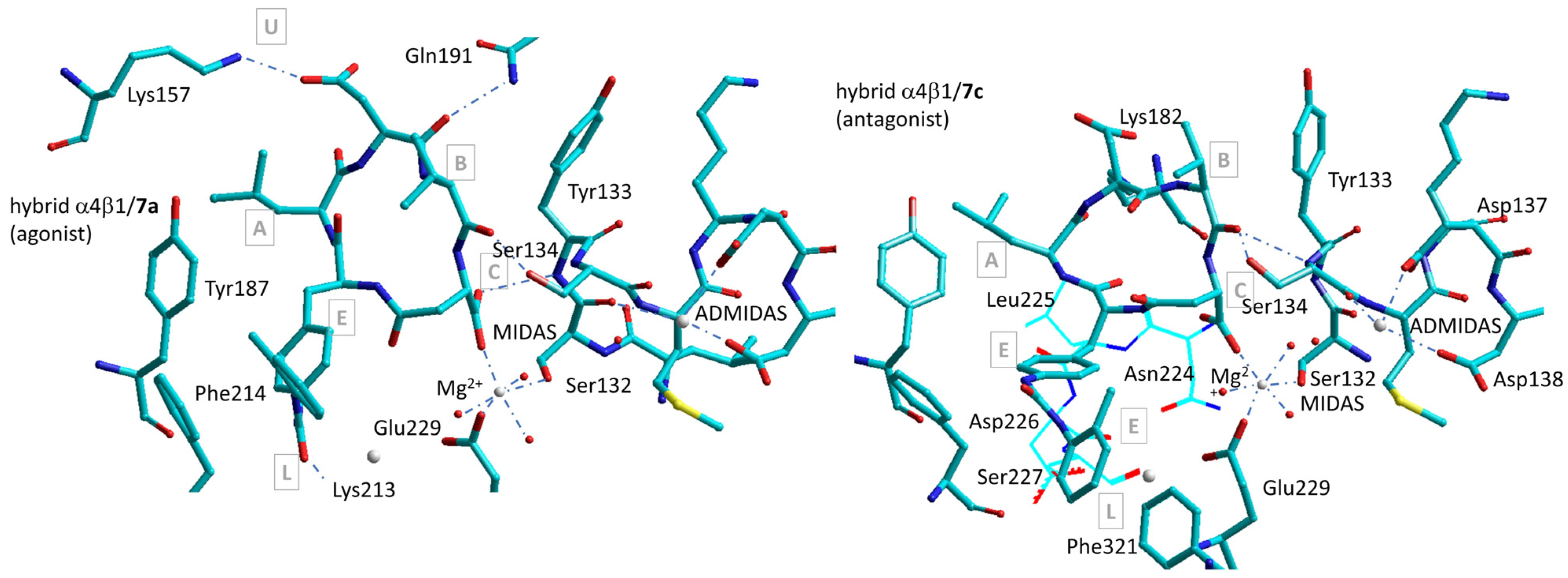 Biomedicines 12 00316 g012