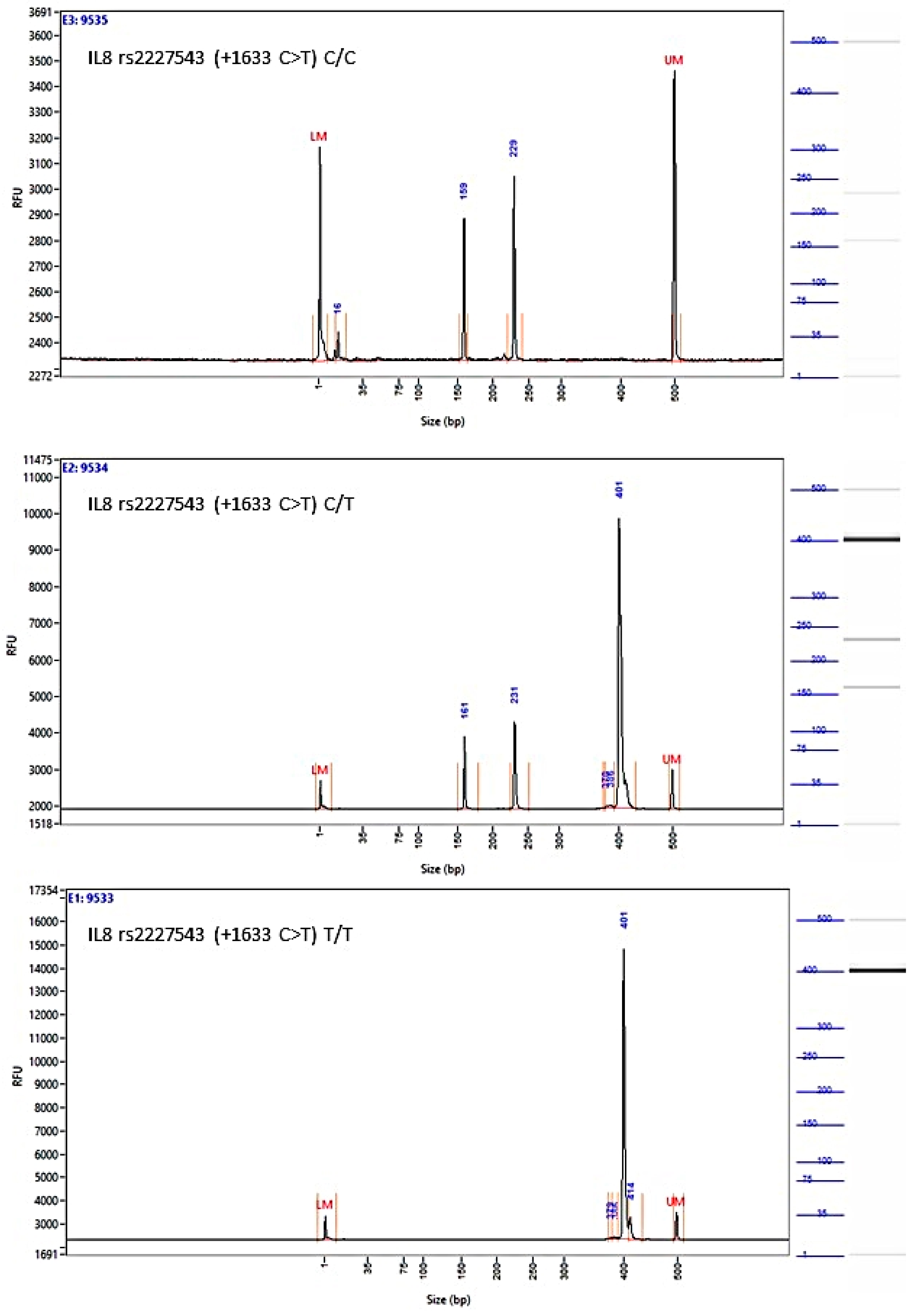 Biomedicines 12 00321 g0a4