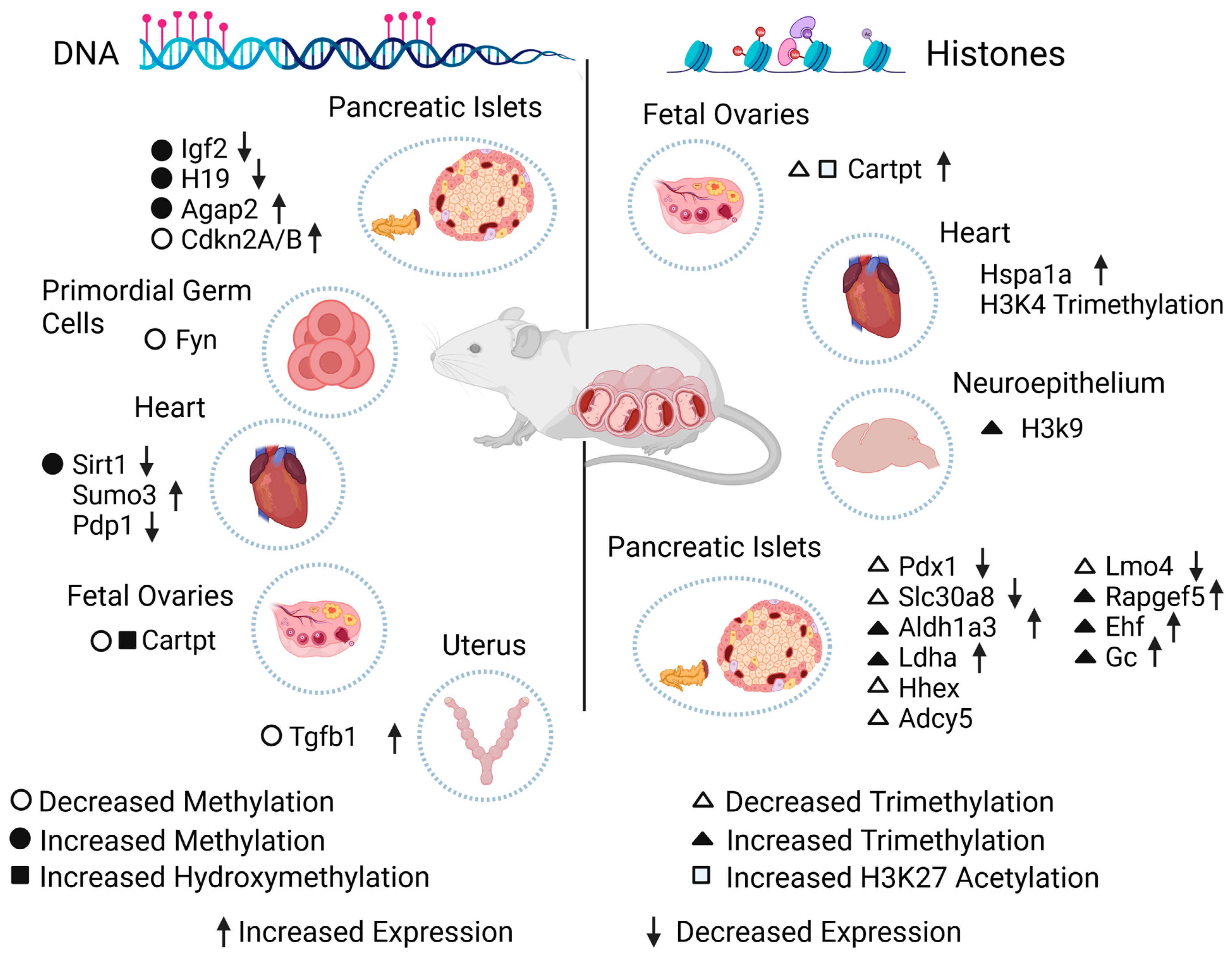 Biomedicines 12 00351 g002