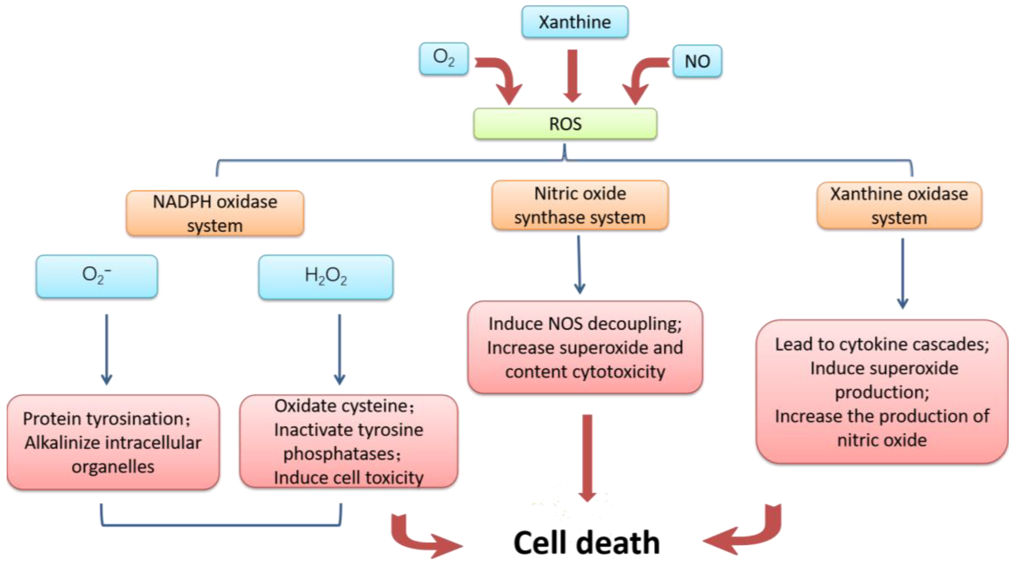 Biomedicines 12 00353 g002
