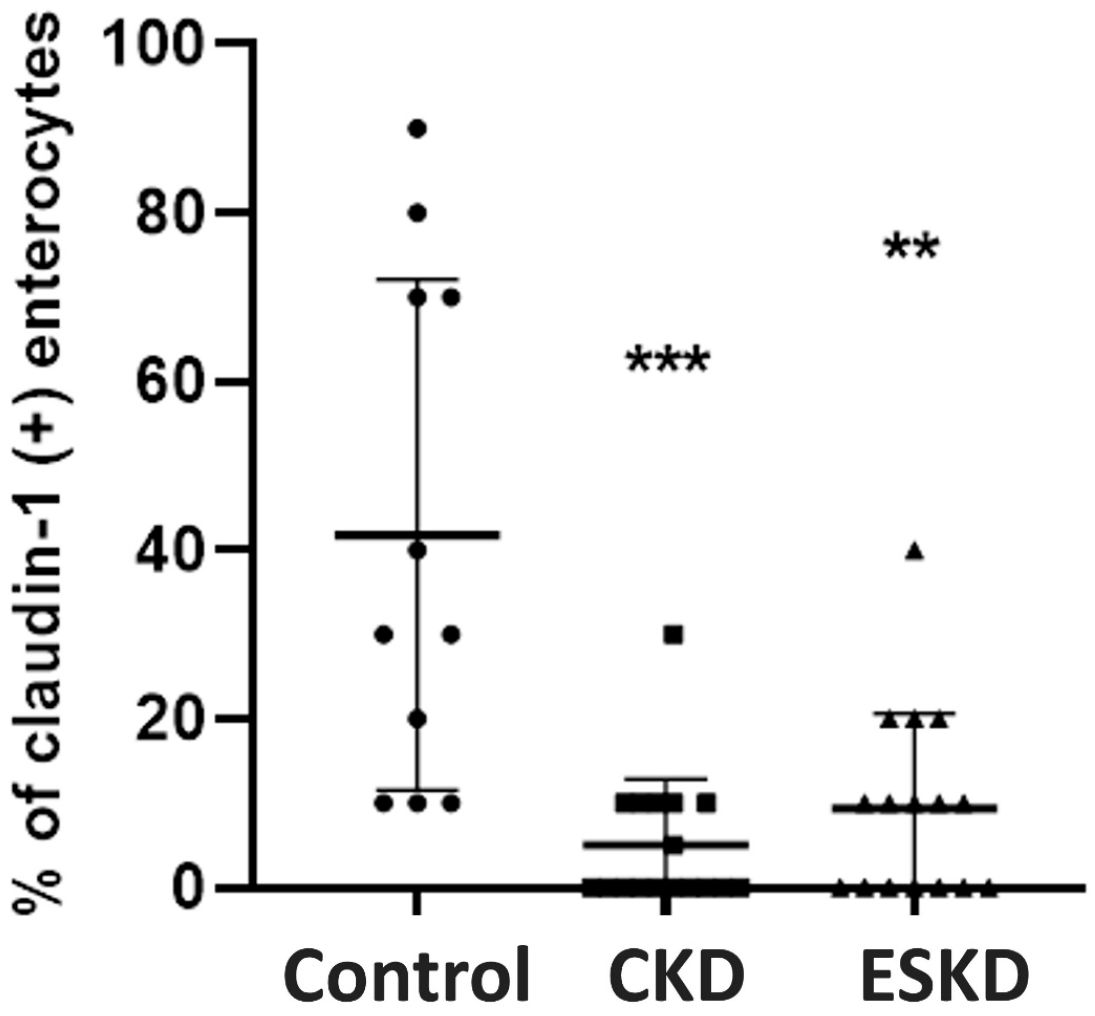 Biomedicines 12 00368 g004