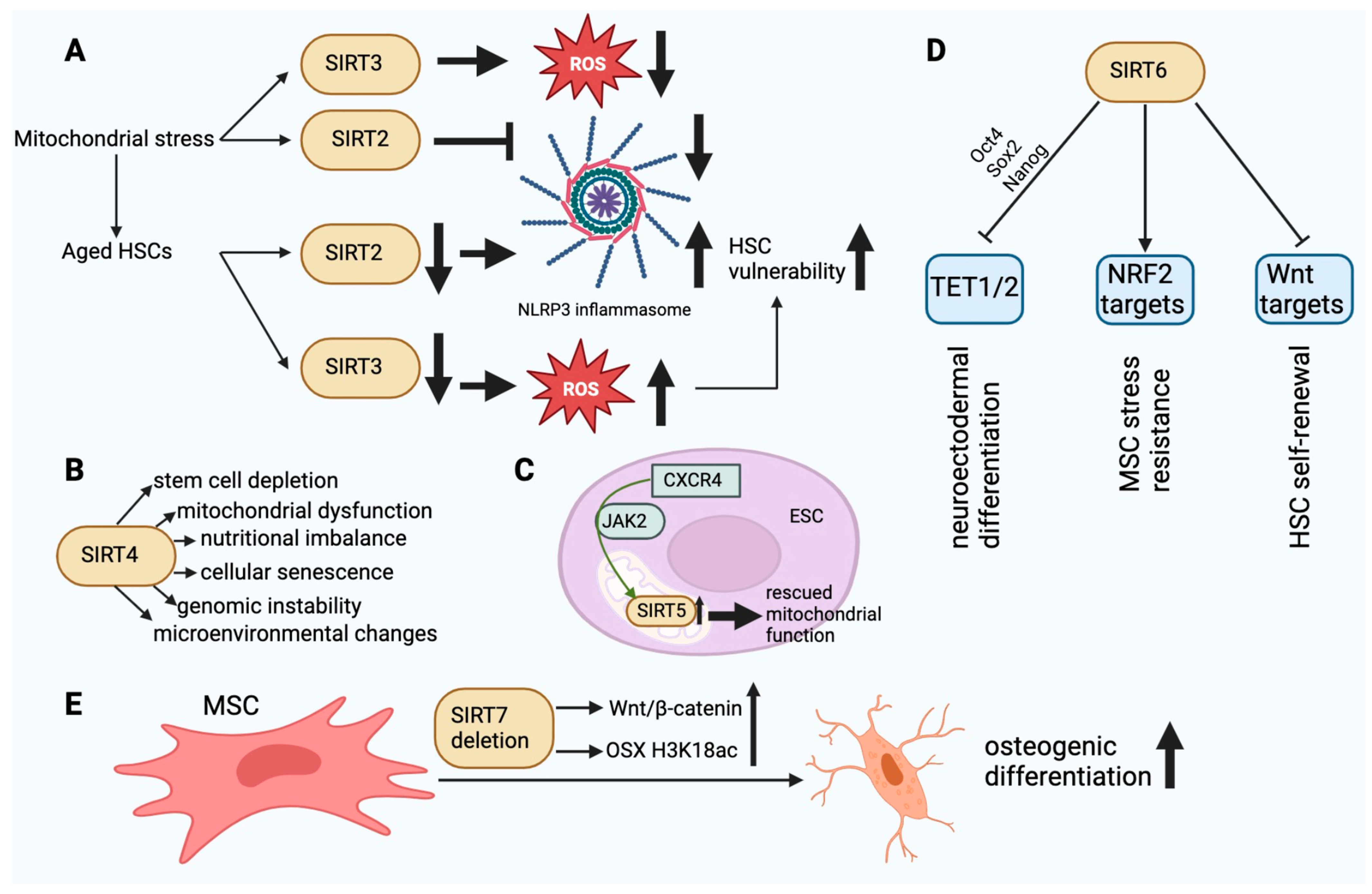 Biomedicines 12 00386 g003 Biomedicines 12 00386 g003