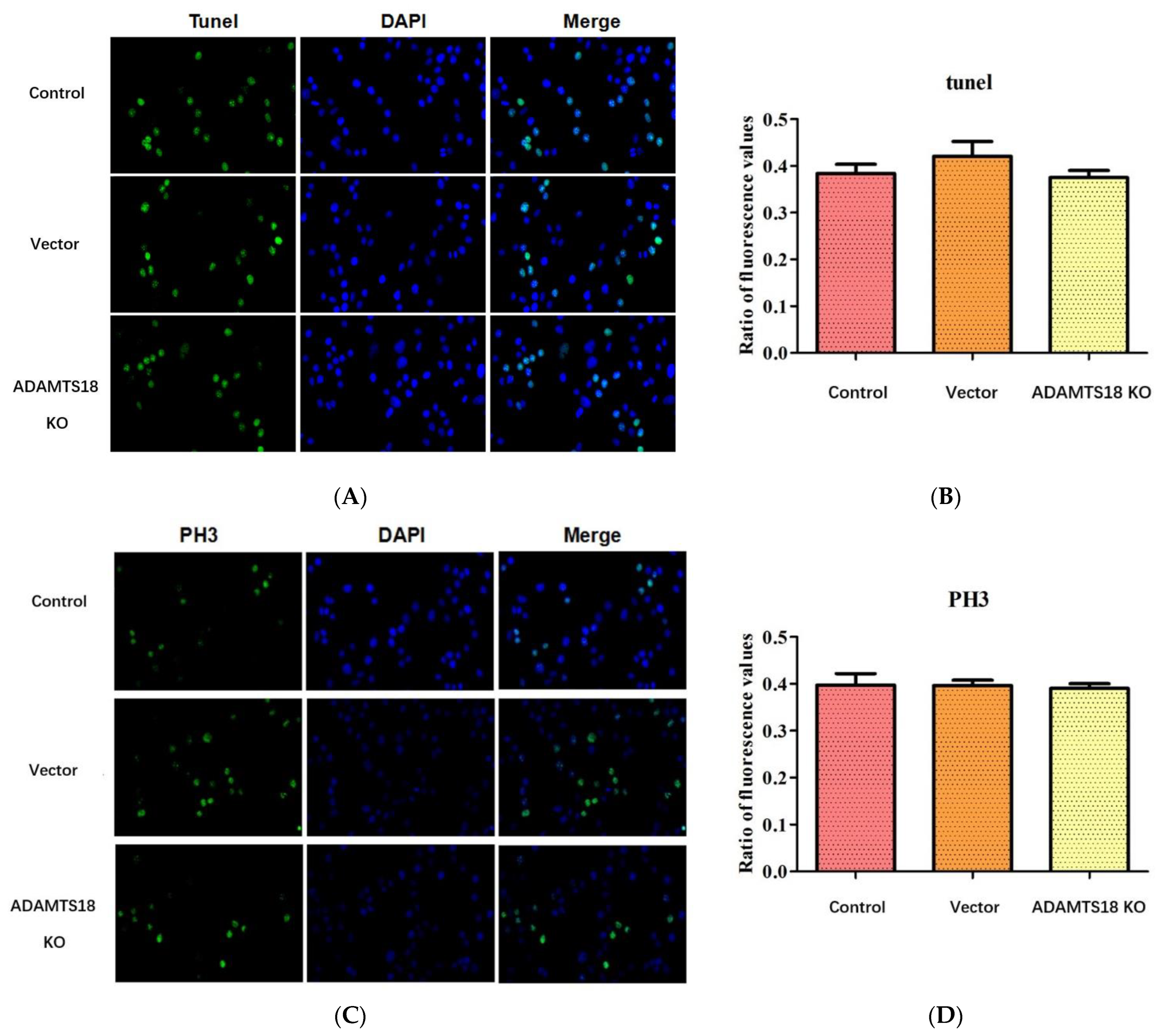 Biomedicines 12 00396 g003 Biomedicines 12 00396 g003