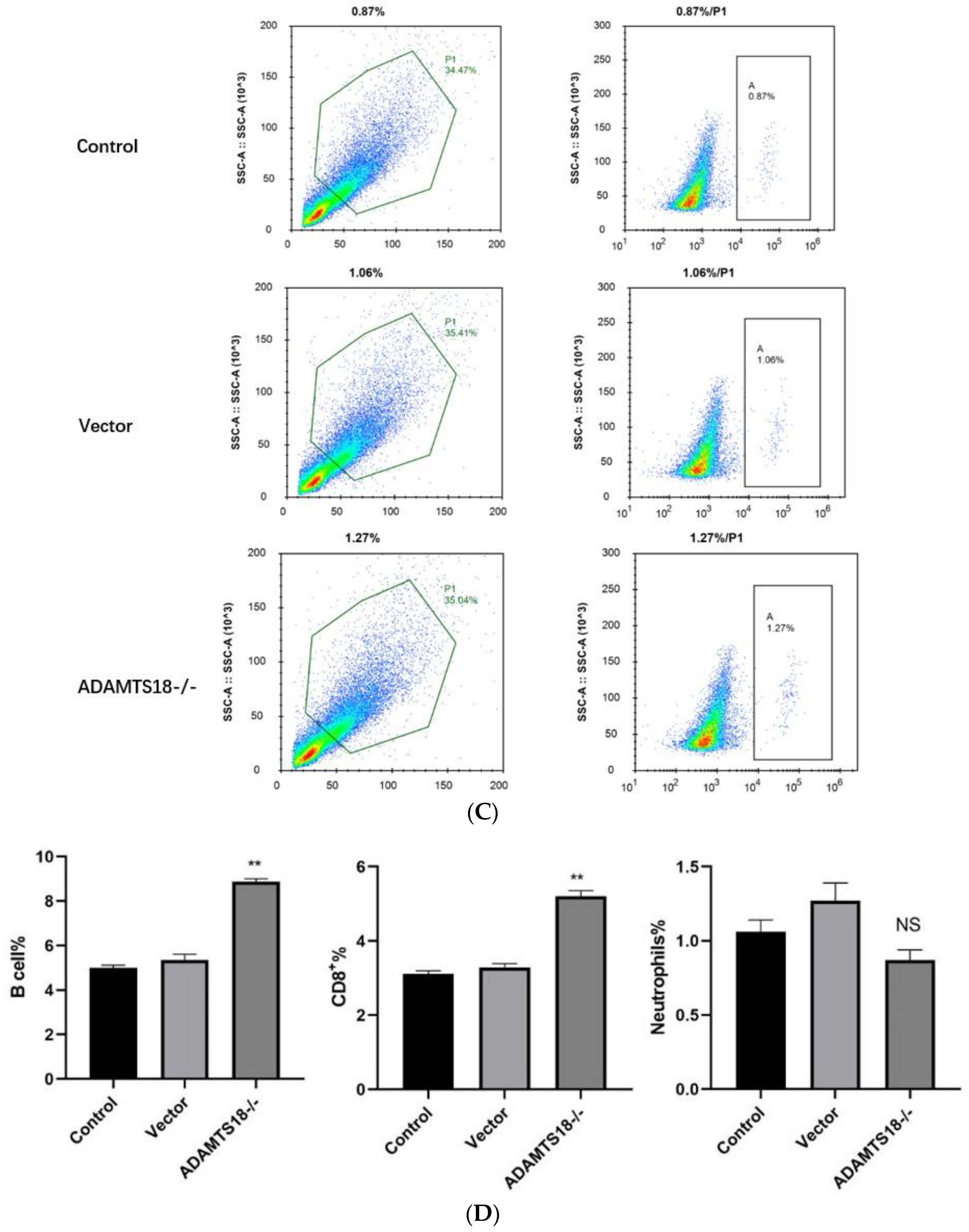Biomedicines 12 00396 g004b Biomedicines 12 00396 g004b