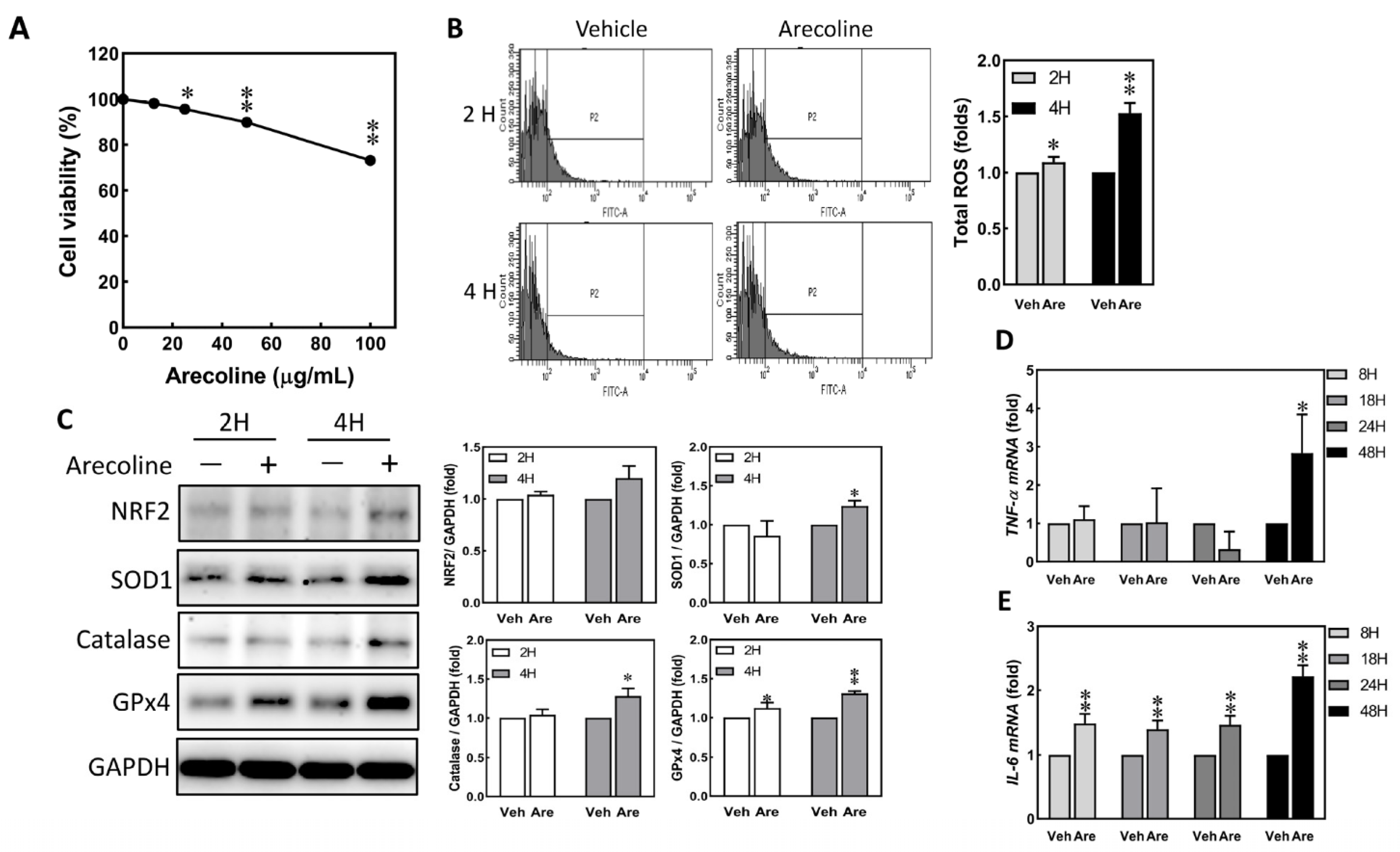 Biomedicines 12 00412 g001 Biomedicines 12 00412 g001