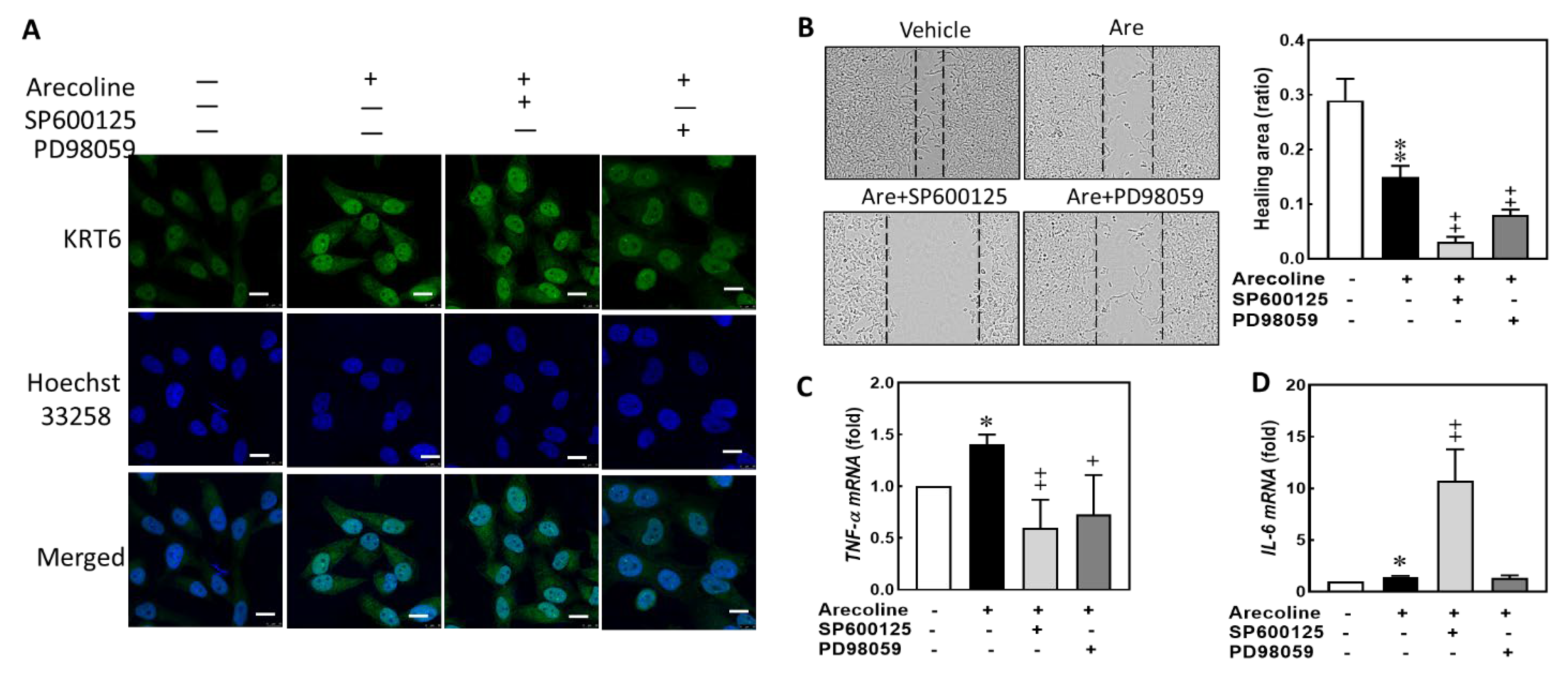 Biomedicines 12 00412 g005 Biomedicines 12 00412 g005