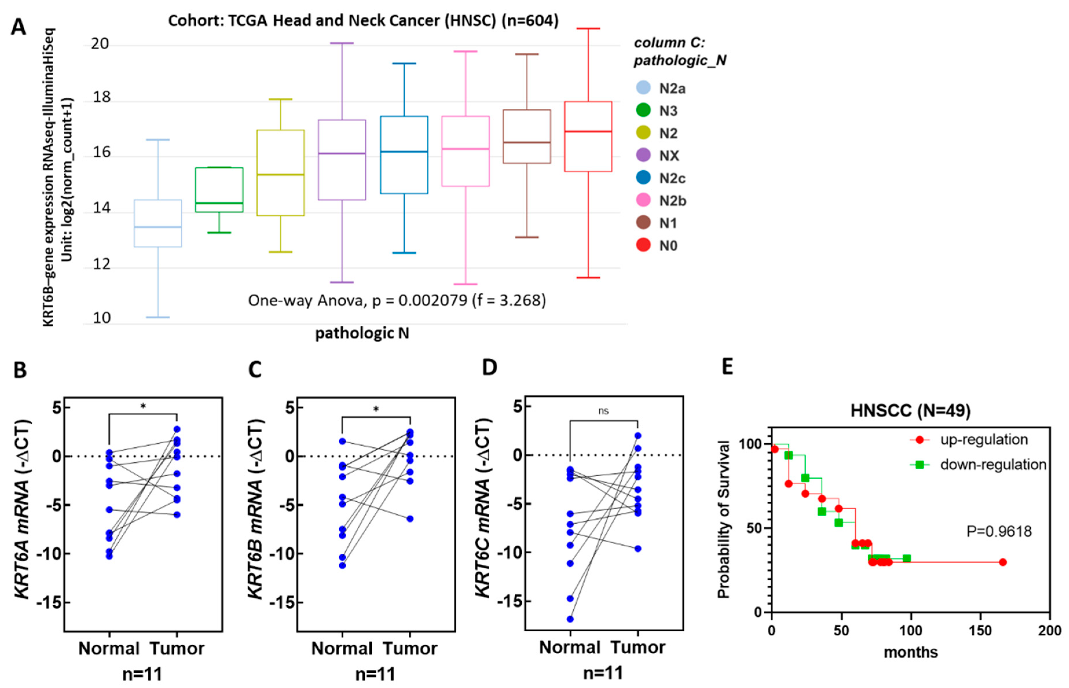 Biomedicines 12 00412 g006 Biomedicines 12 00412 g006