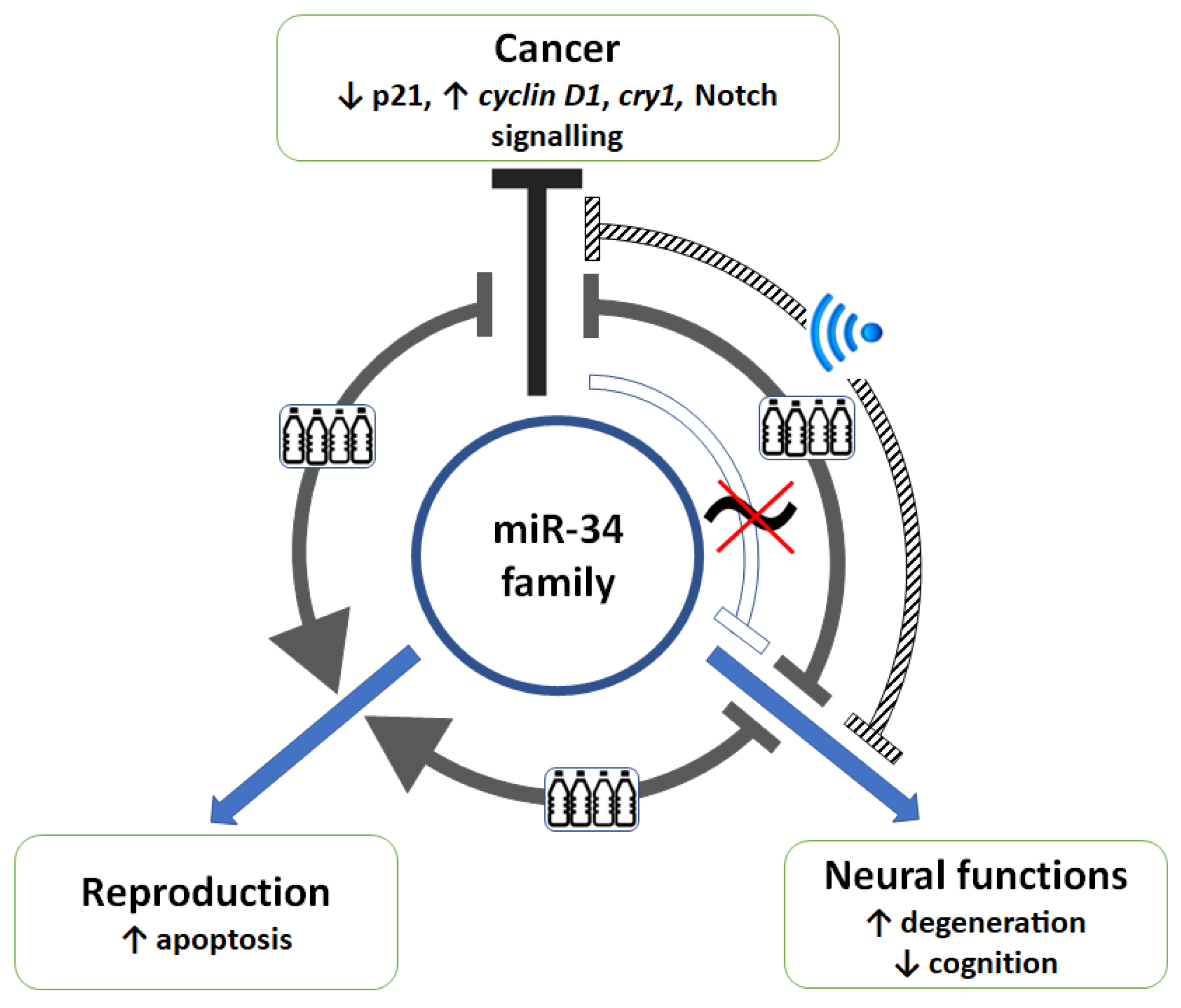 Biomedicines 12 00424 g002
