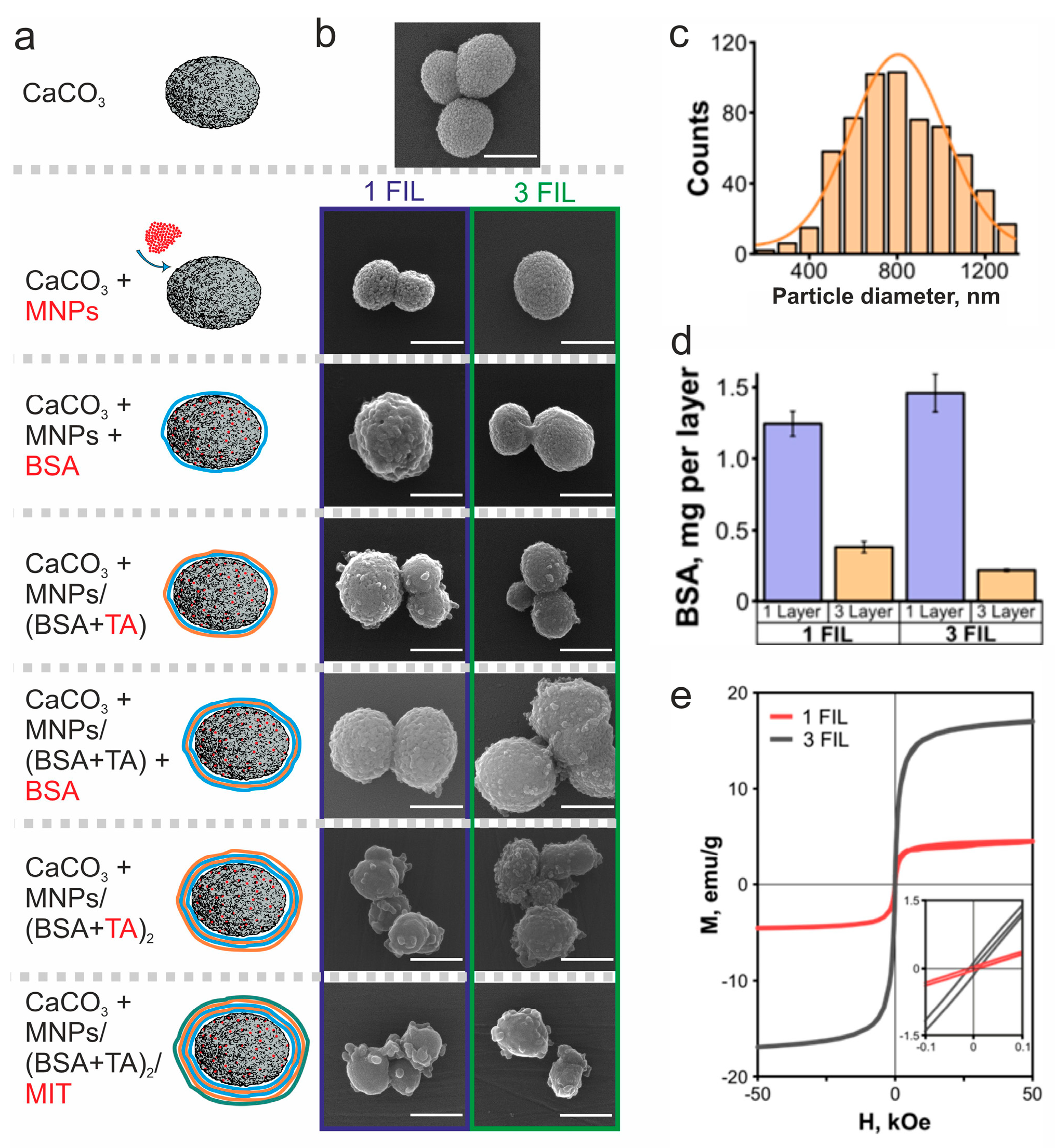 Biomedicines 12 00443 g001 Biomedicines 12 00443 g001