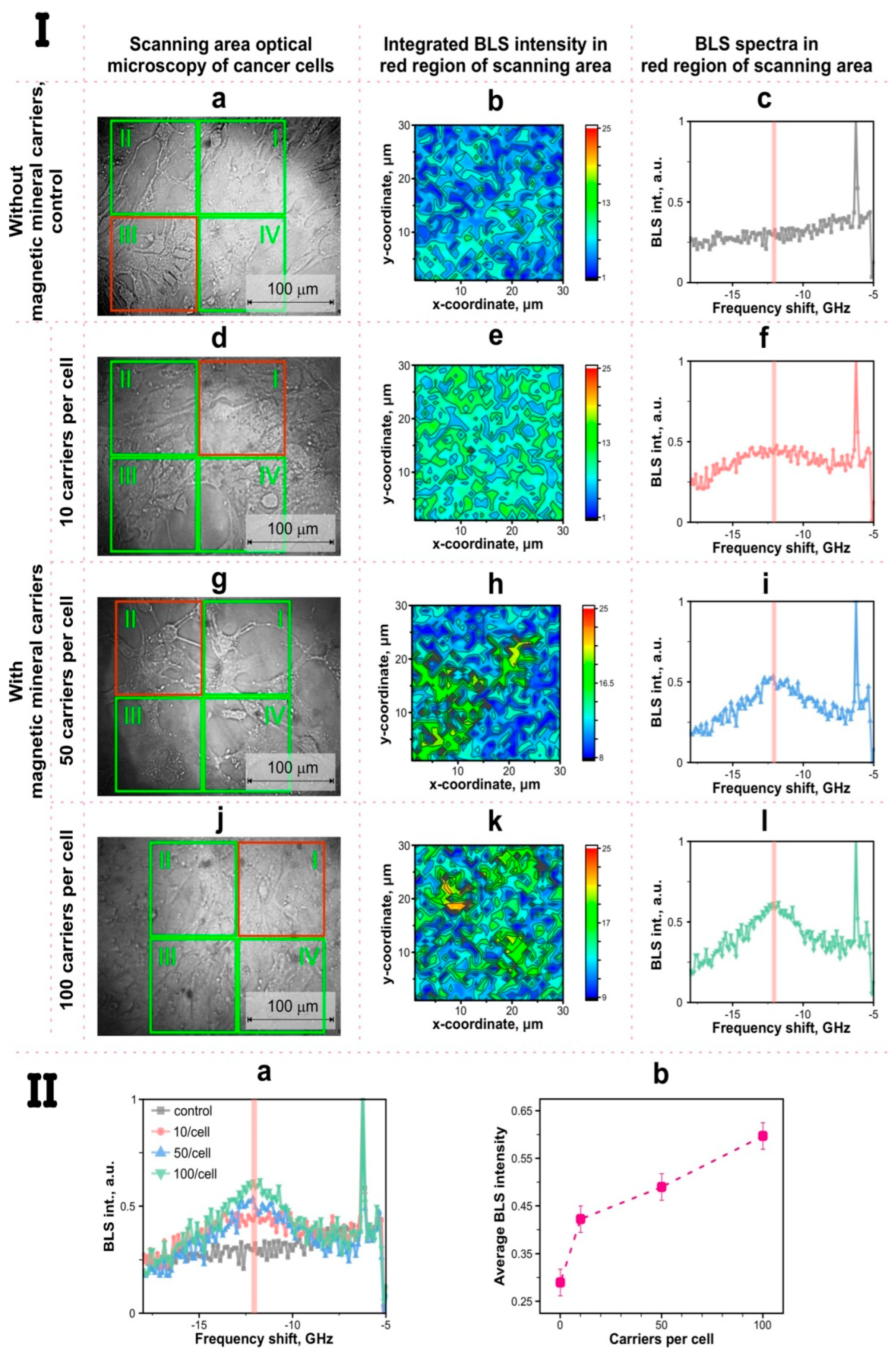 Biomedicines 12 00443 g003 Biomedicines 12 00443 g003