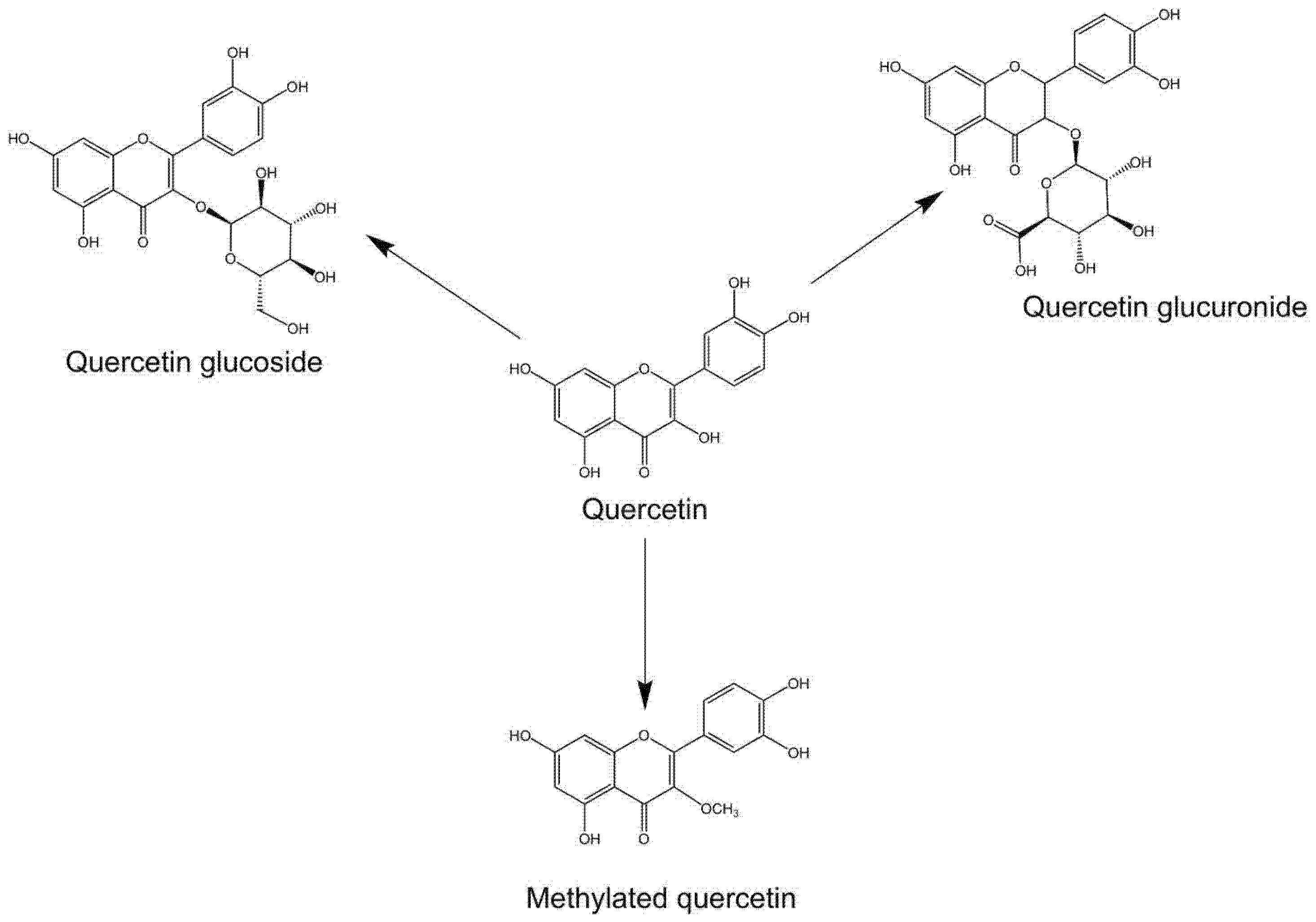 Biomedicines 12 00444 g001
