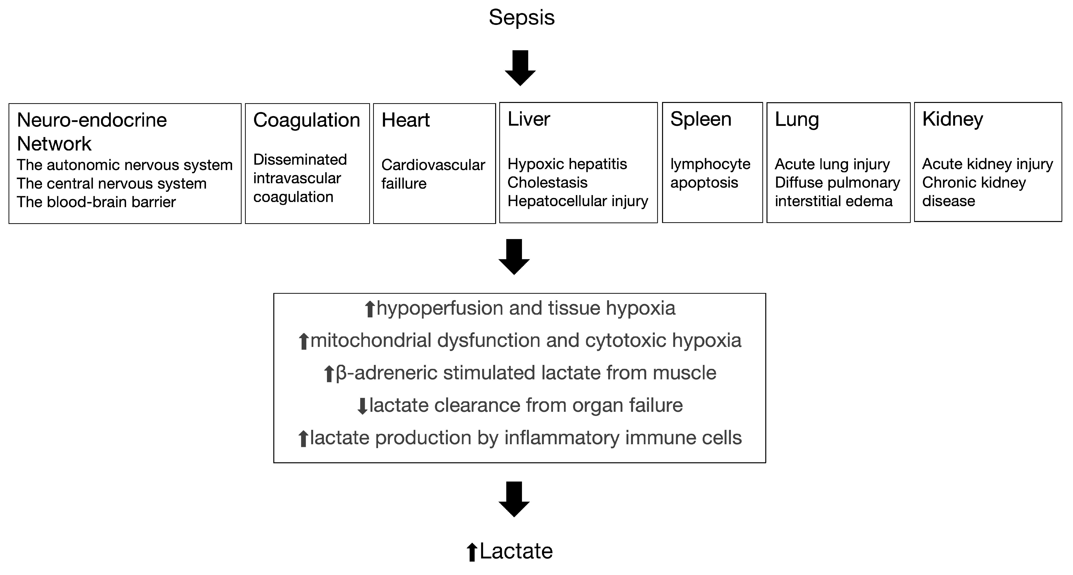 Biomedicines 12 00447 g001