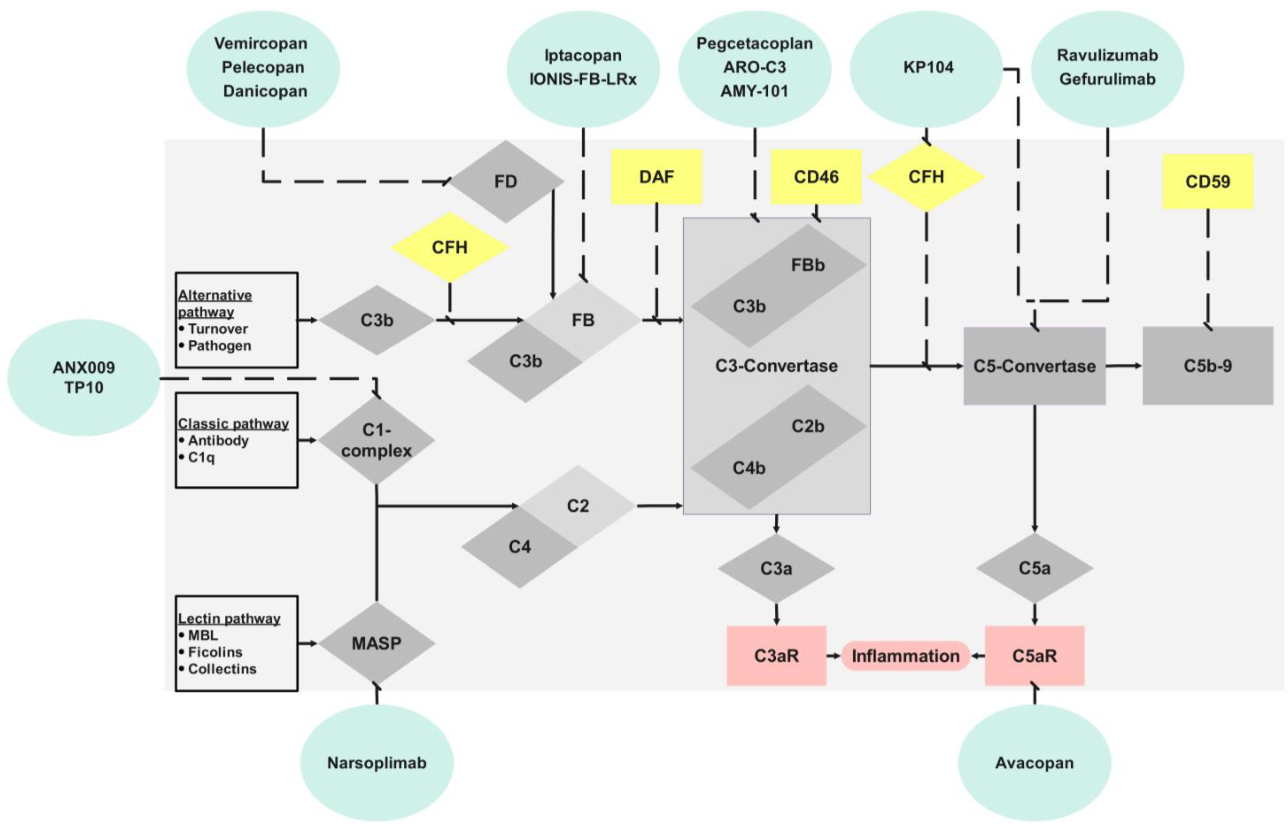 Biomedicines 12 00455 g001