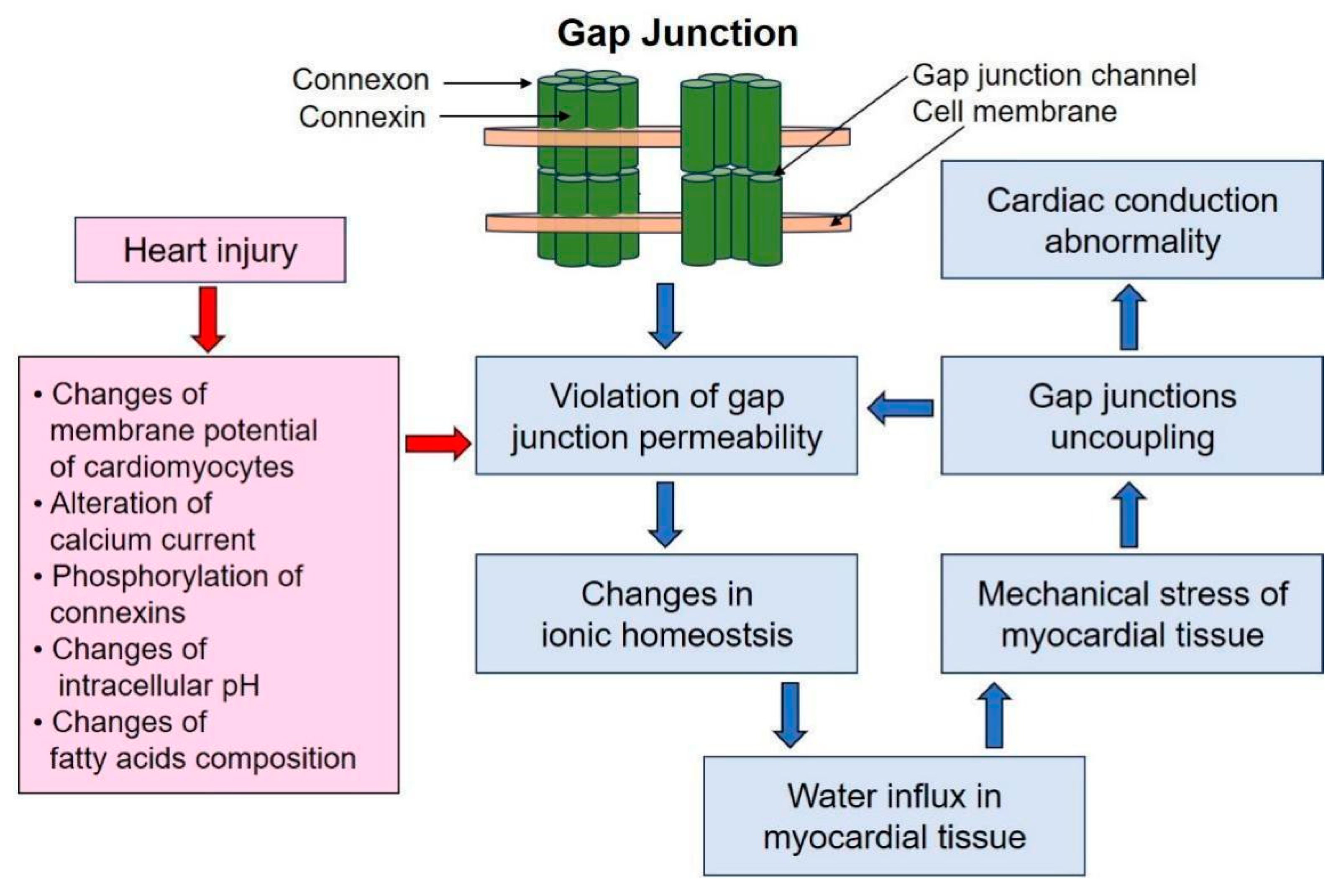 Biomedicines 12 00465 g002 Biomedicines 12 00465 g002