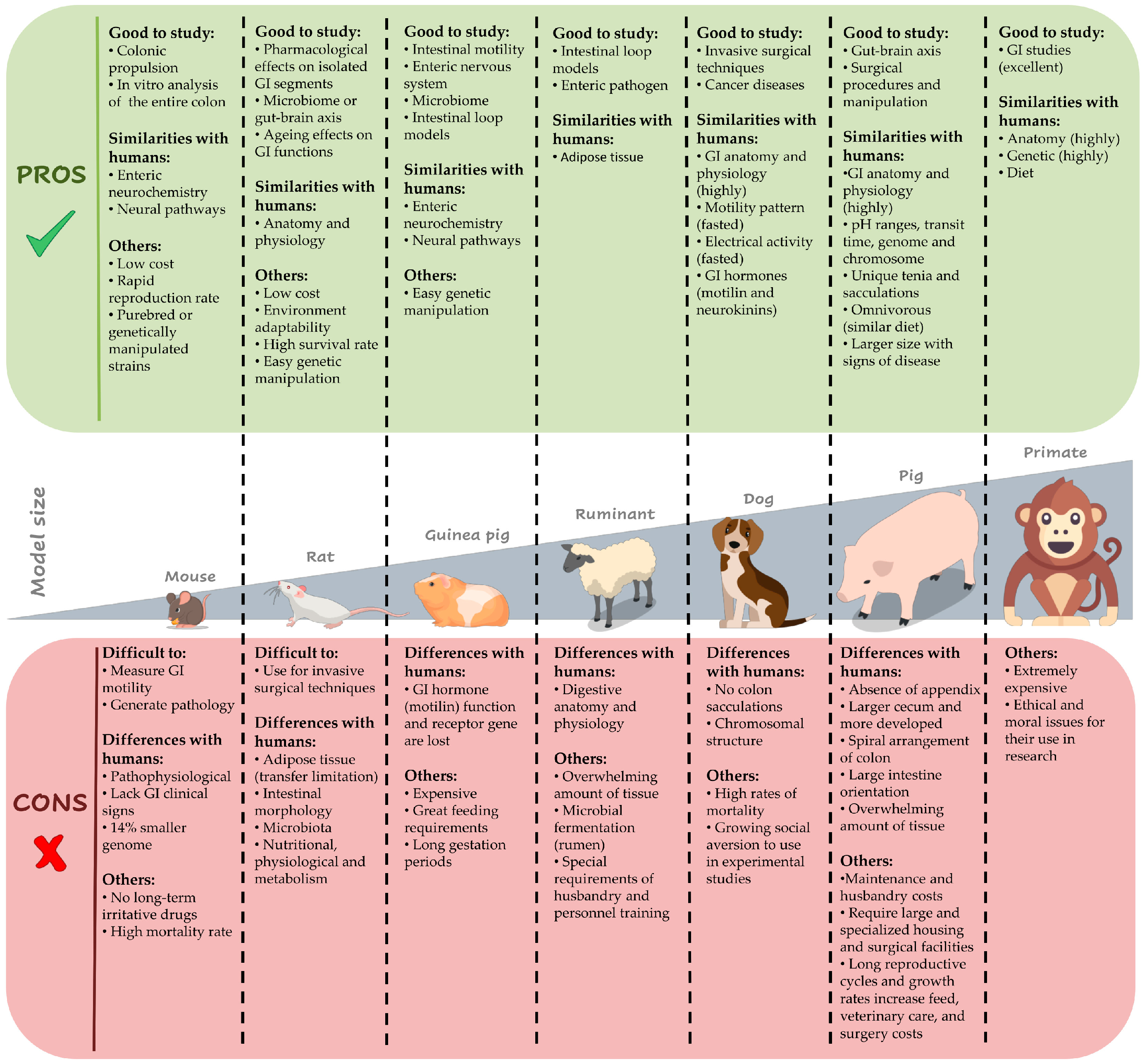 Biomedicines 12 00481 g002 Biomedicines 12 00481 g002