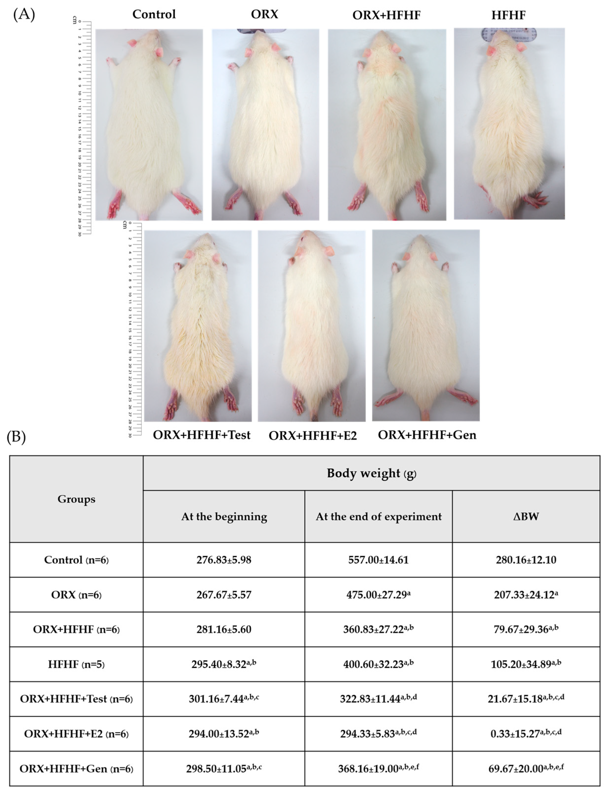 Biomedicines | Free Full-Text | Genistein and Sex Hormone Supplementation  Modulated Hepatic PPARα, δ, and γ Subtypes and STAT1  Expressions in a NASH Rat Model with Bilateral Orchidectomy